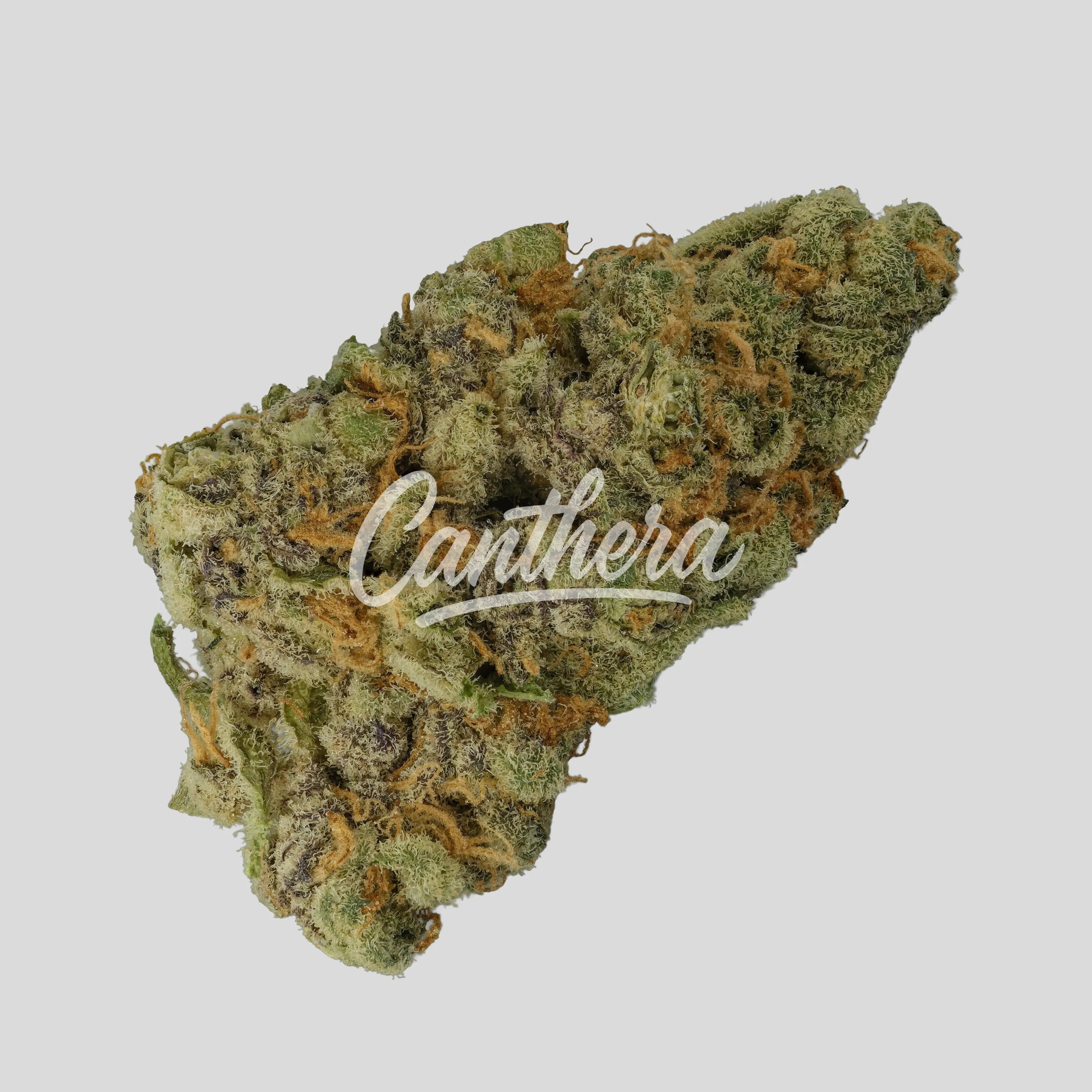Cannamedical Indica Light ZAF - Tropical Cream Cake Cannamedical Indica Light ZAF - Tropical Cream Cake