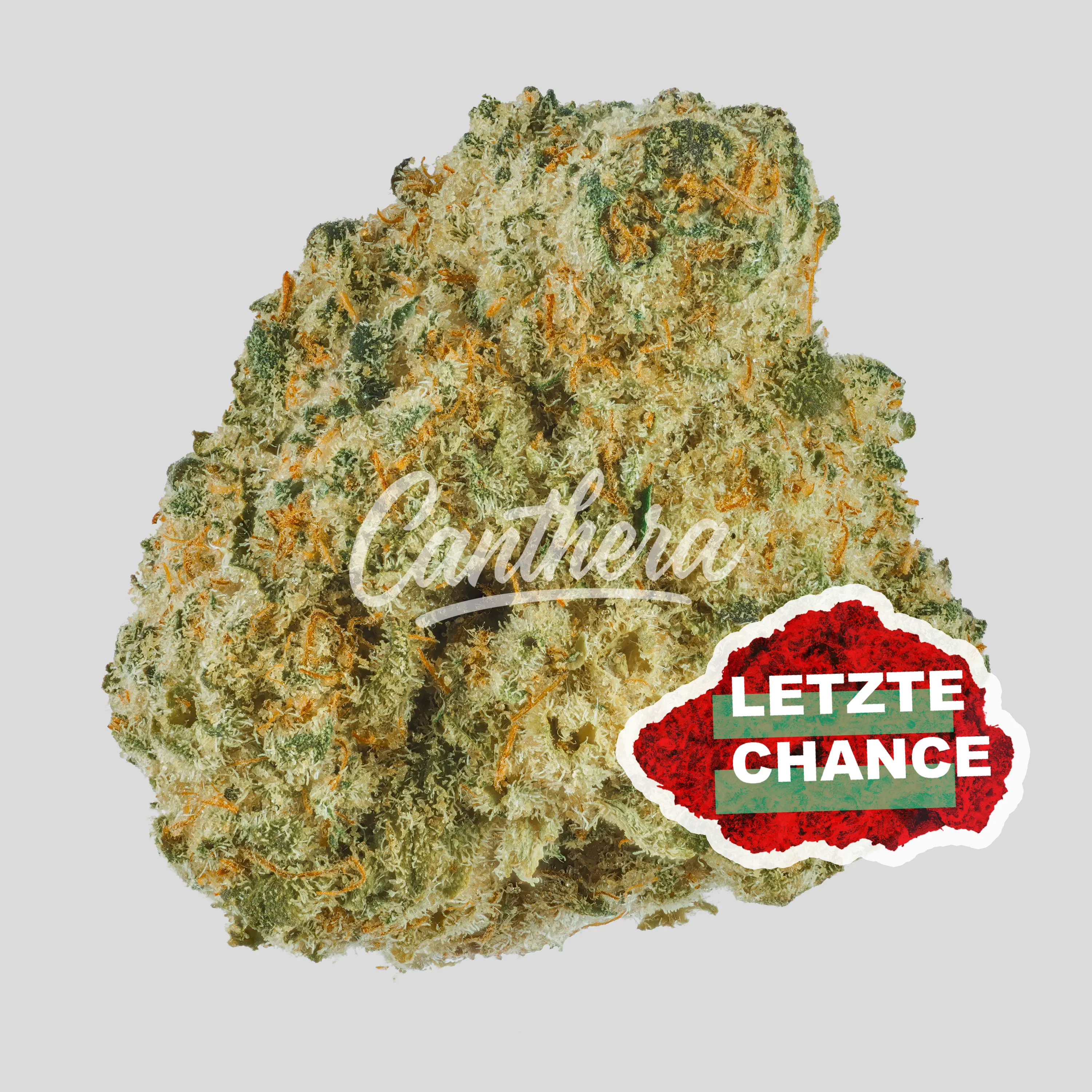 Demecan Core Golden Horizon 31:01 - Golden Goat