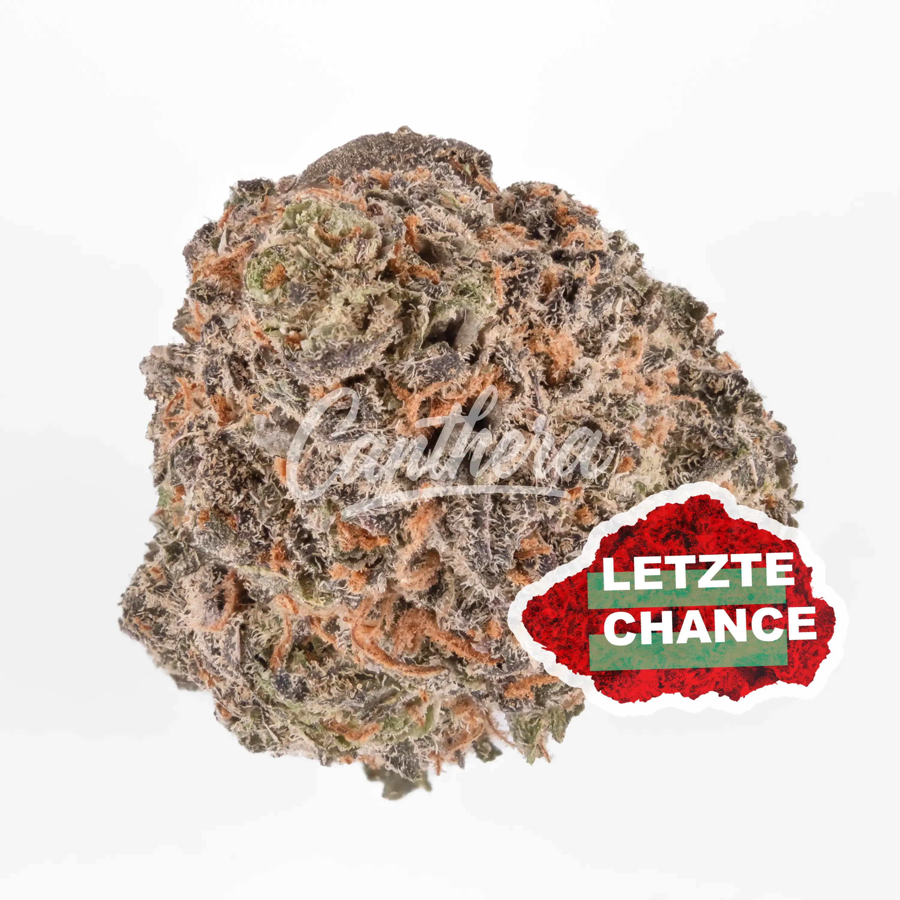 Cannamedical Sativa Vita - Lavender Clouds Cannamedical Sativa Vita - Lavender Clouds