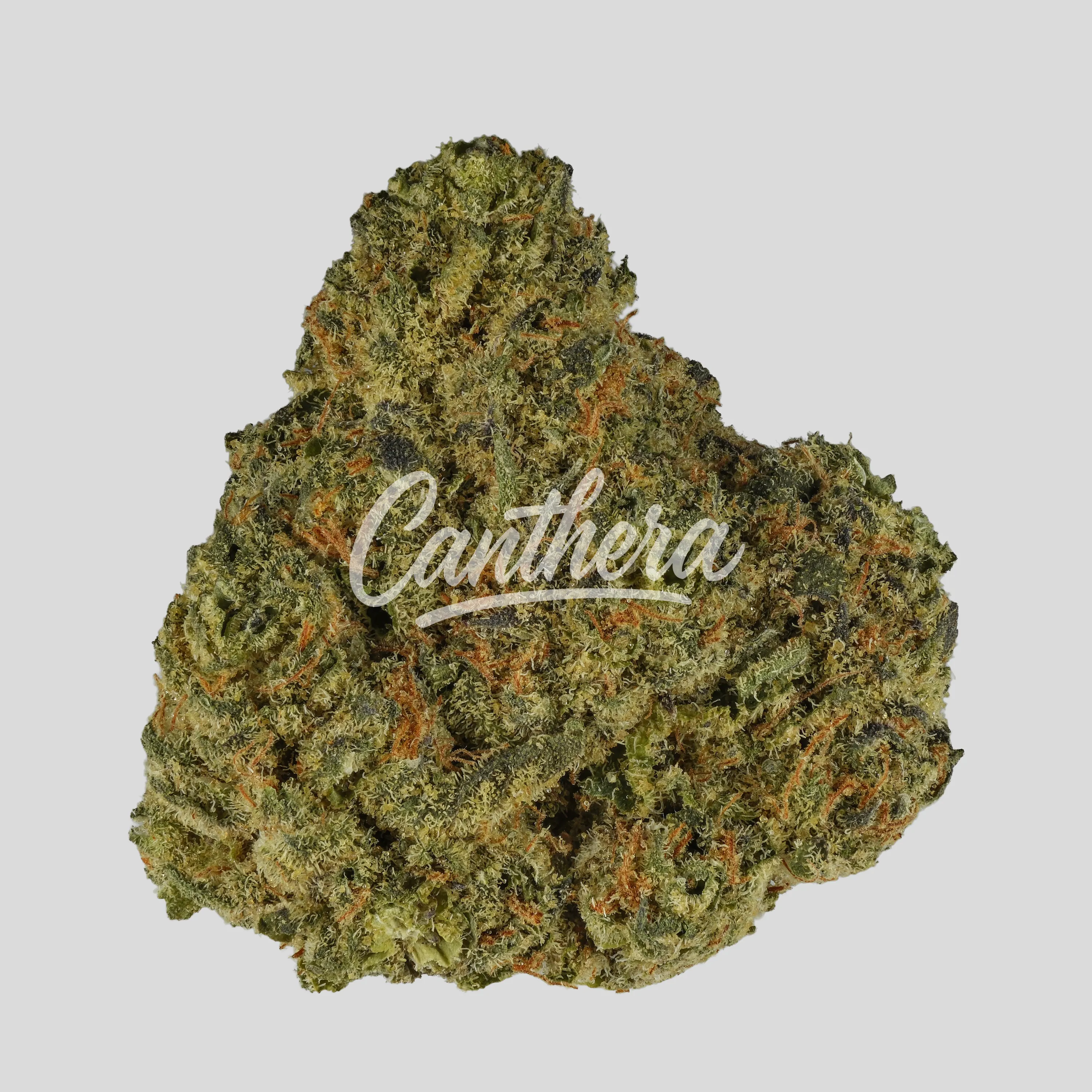 187 Cannabisflower 24K THC25