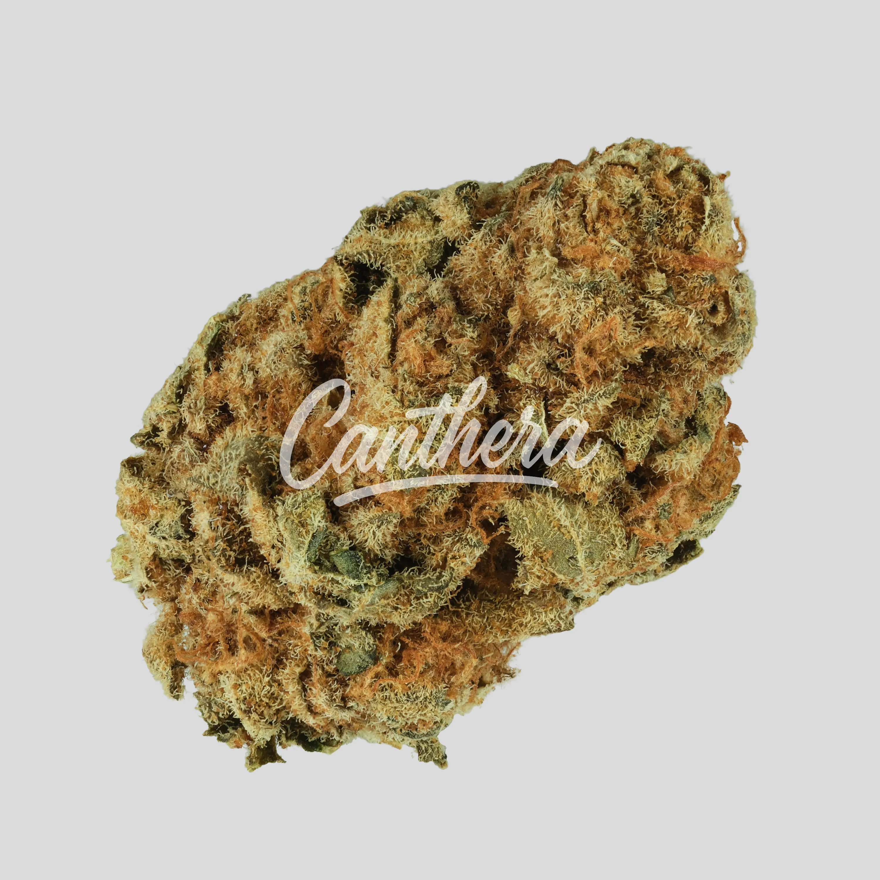 IMC Deep Plum 22/1 Mids