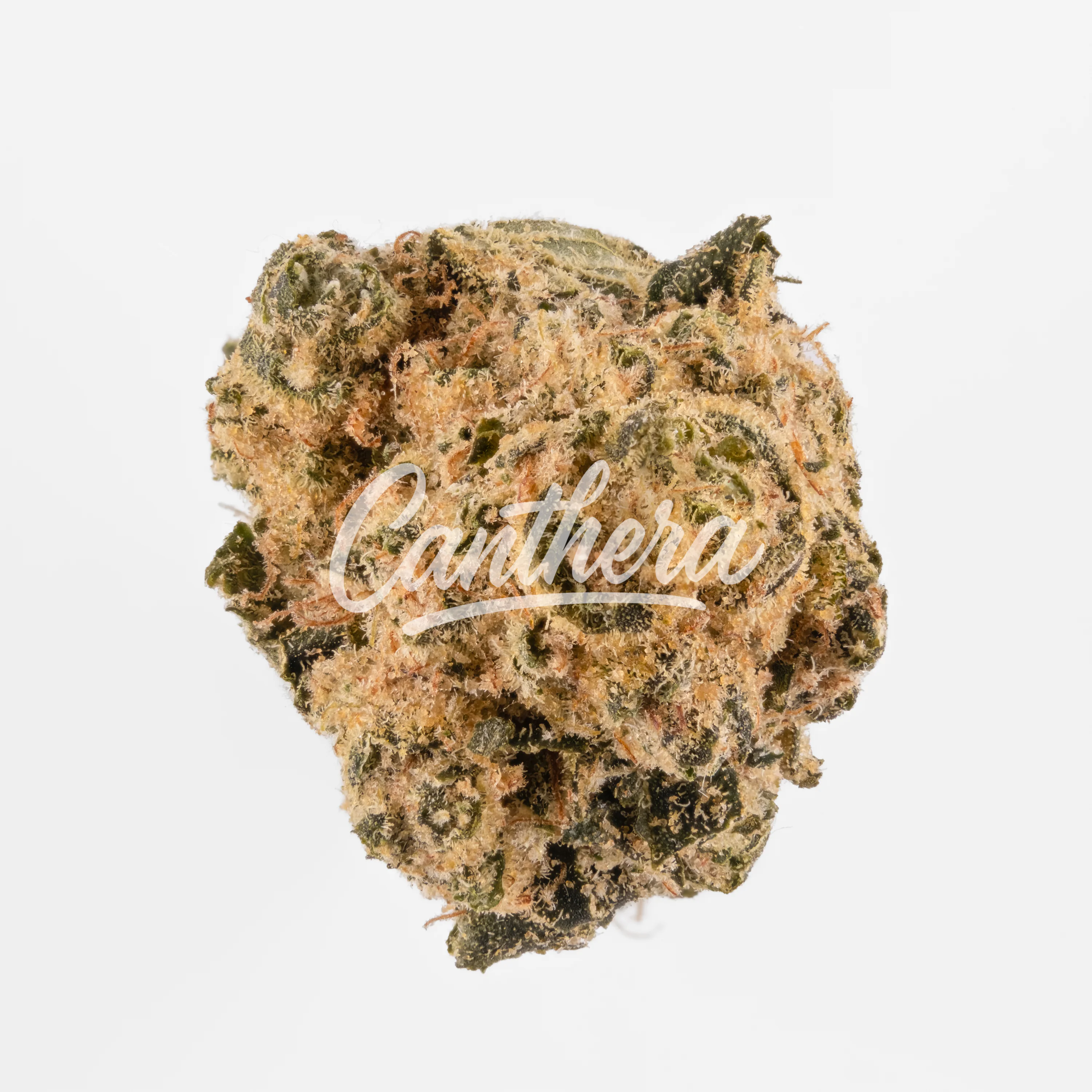 Peace Naturals 31/1 GC - GMO Cookies