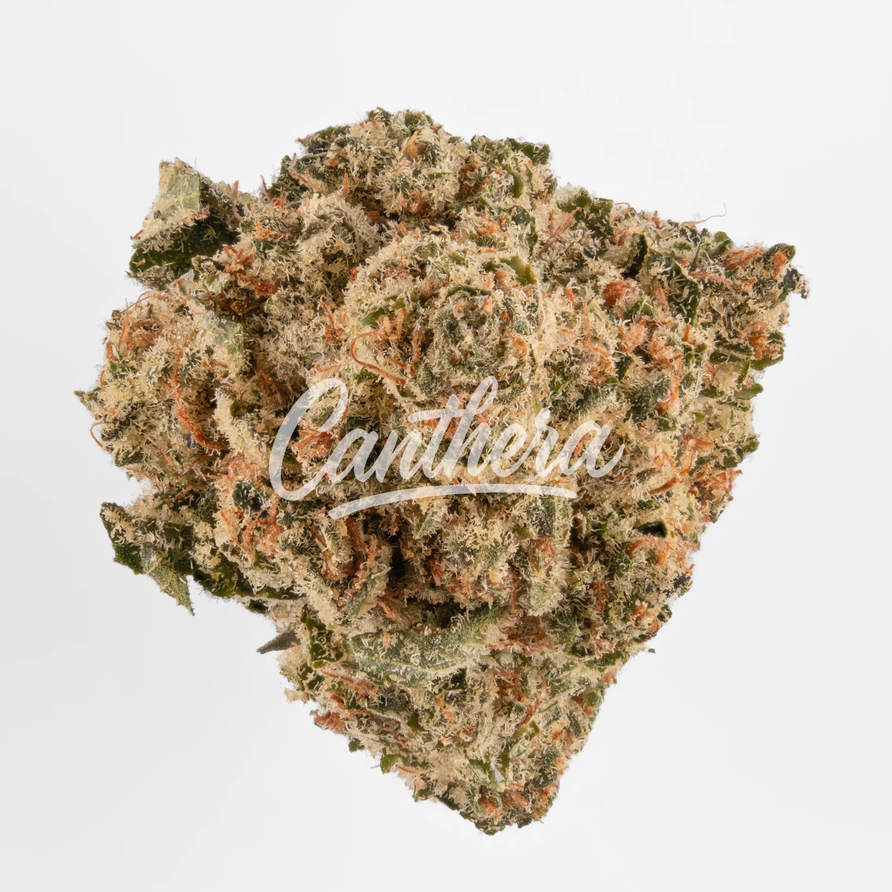 Huala 20/1 CA ALM - Alien Mints