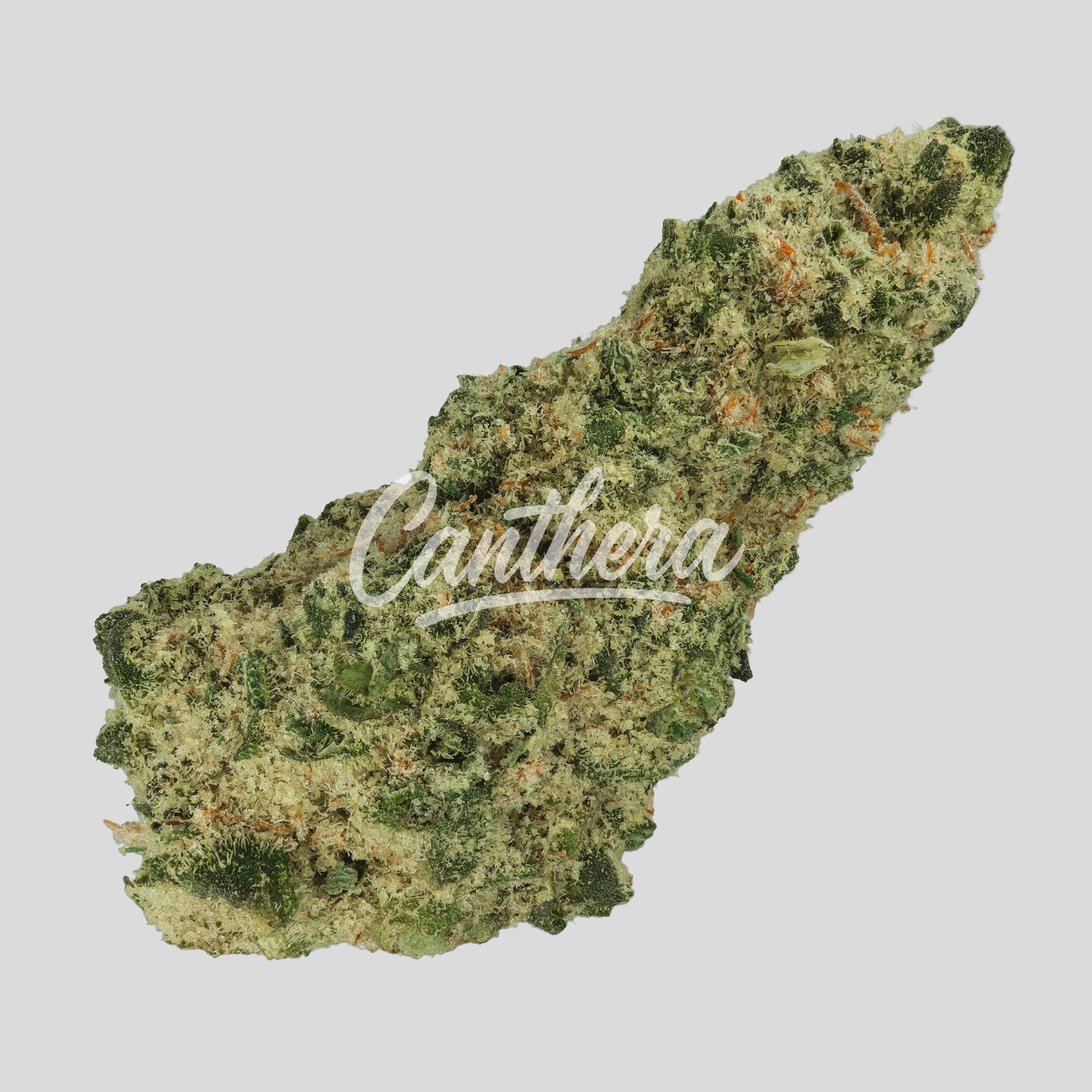 NICE 30/1 LK - Lemon Kush