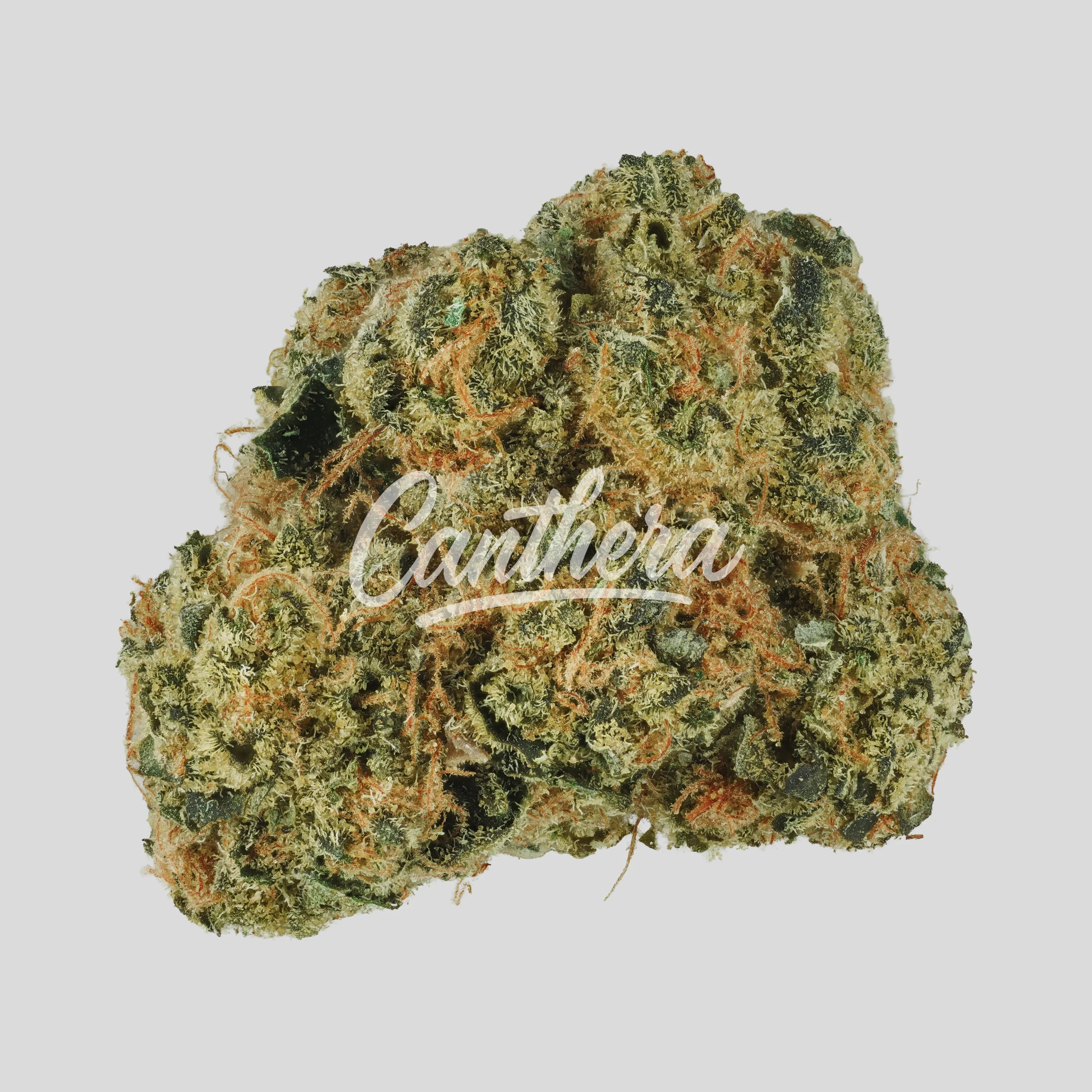 Tweed AET 28/1 - After Eight