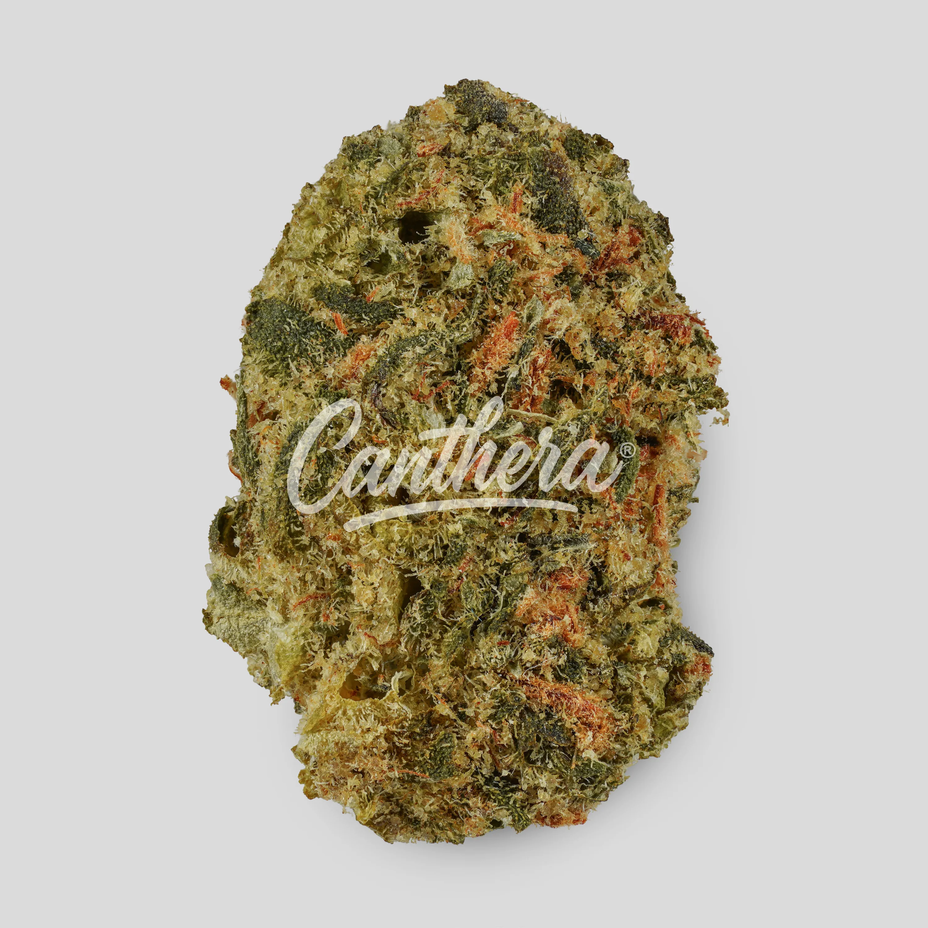 32/1 Amici SLH - Super Lemon Haze