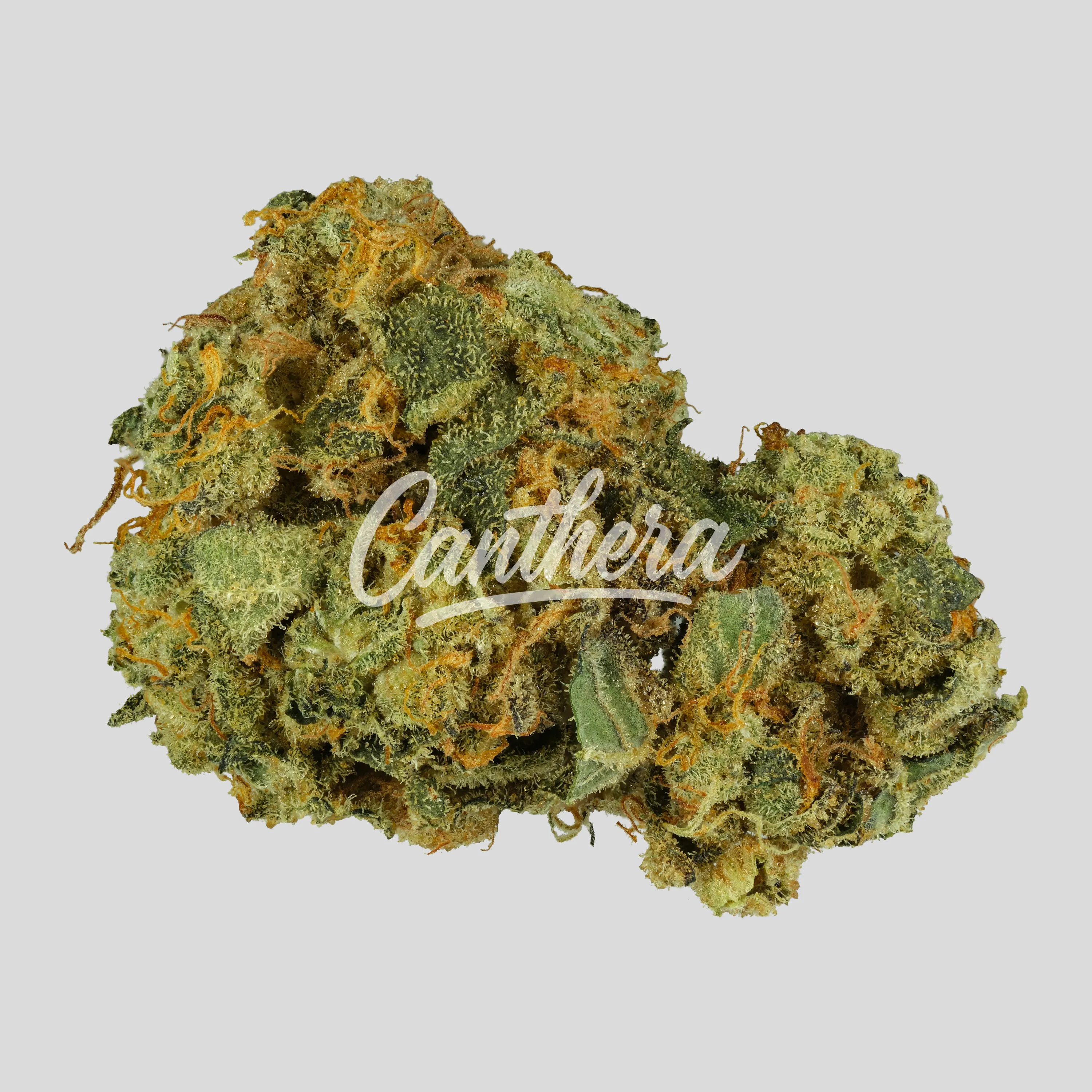 Demecan Core JM7 31/1 - Jelly Mints Demecan Core JM7 31/1 - Jelly Mints