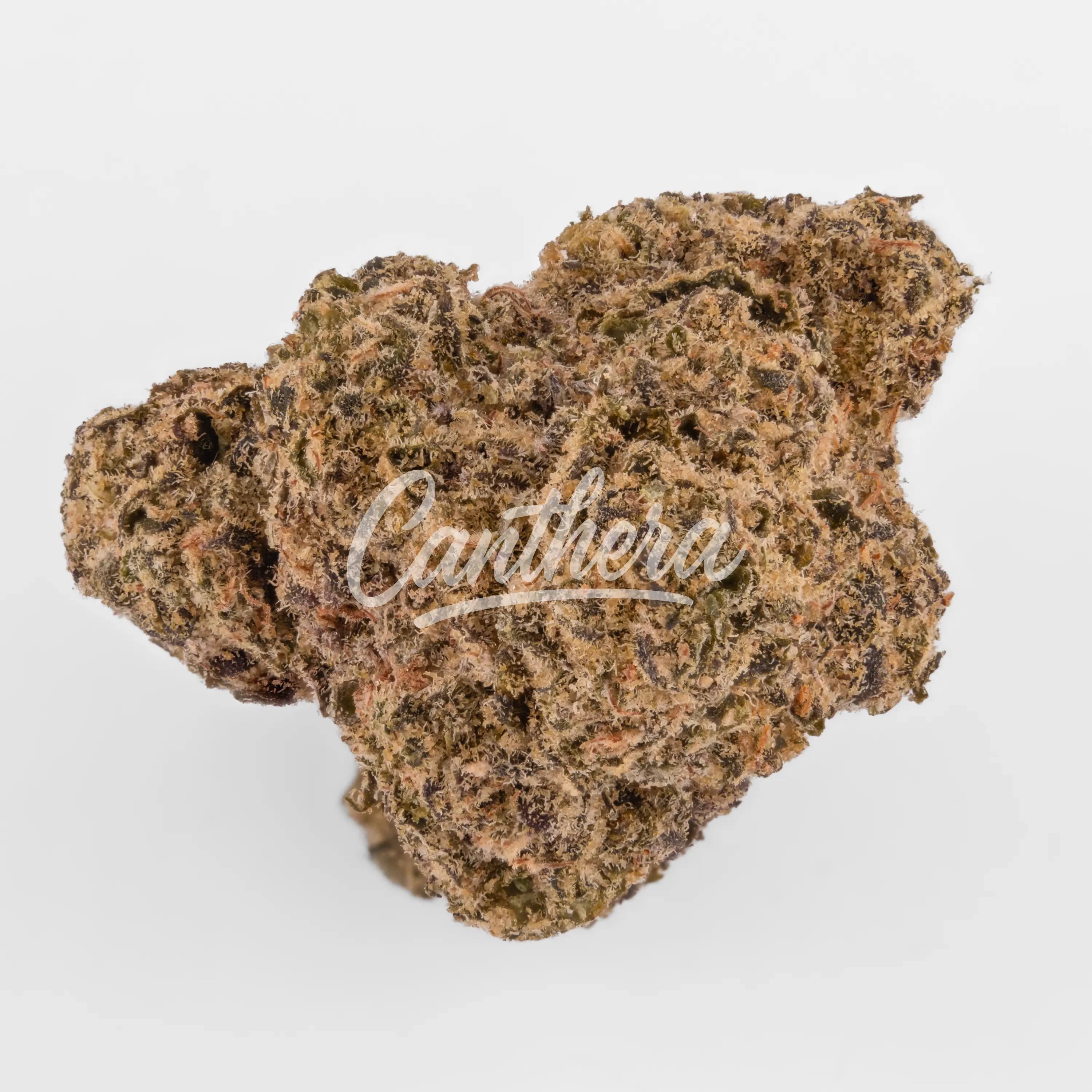 Nahaufnahme einer medizinischen Cannabisblüte