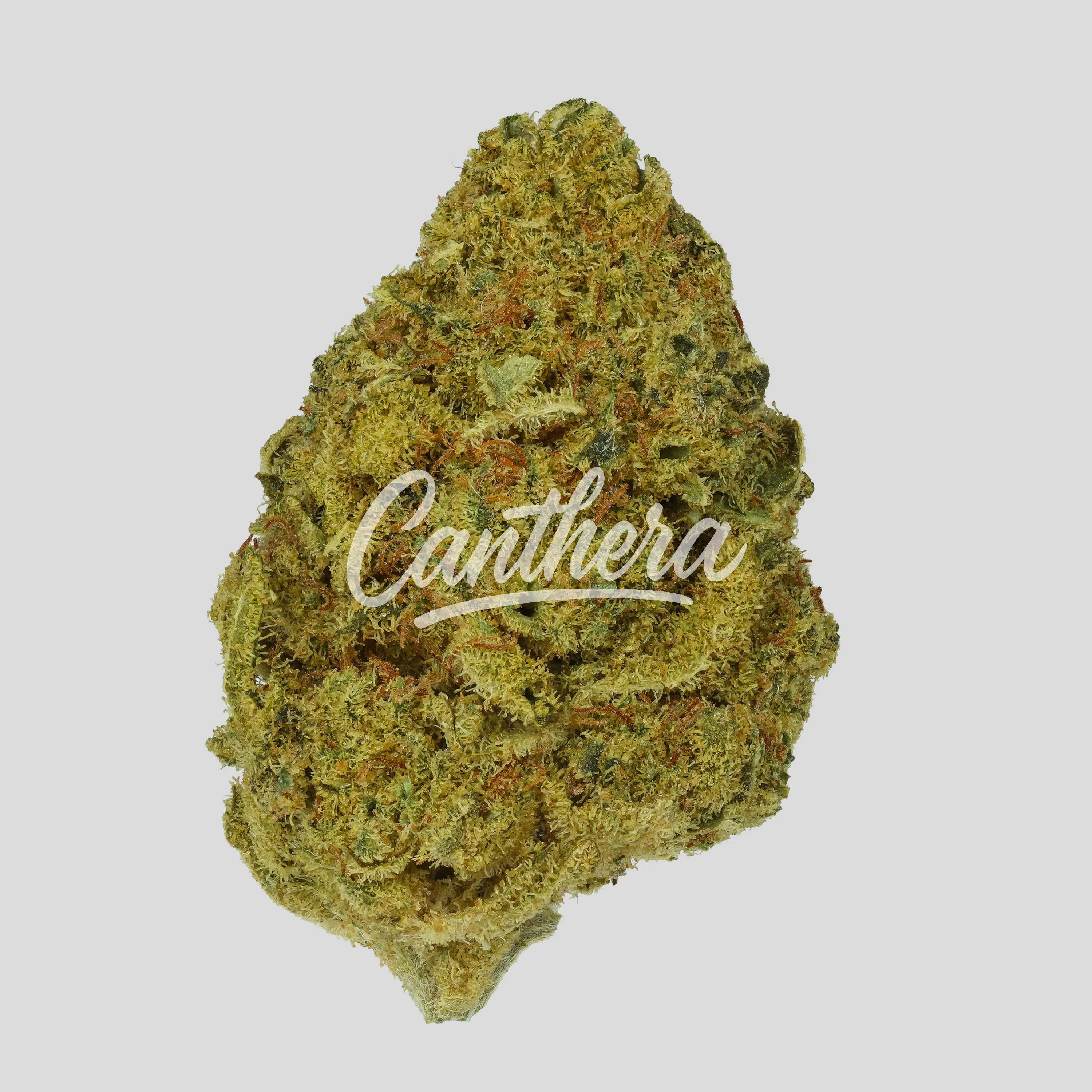 Remexian 21/1 CHR - Citrus Bowl Remexian 21/1 CHR - Citrus Bowl