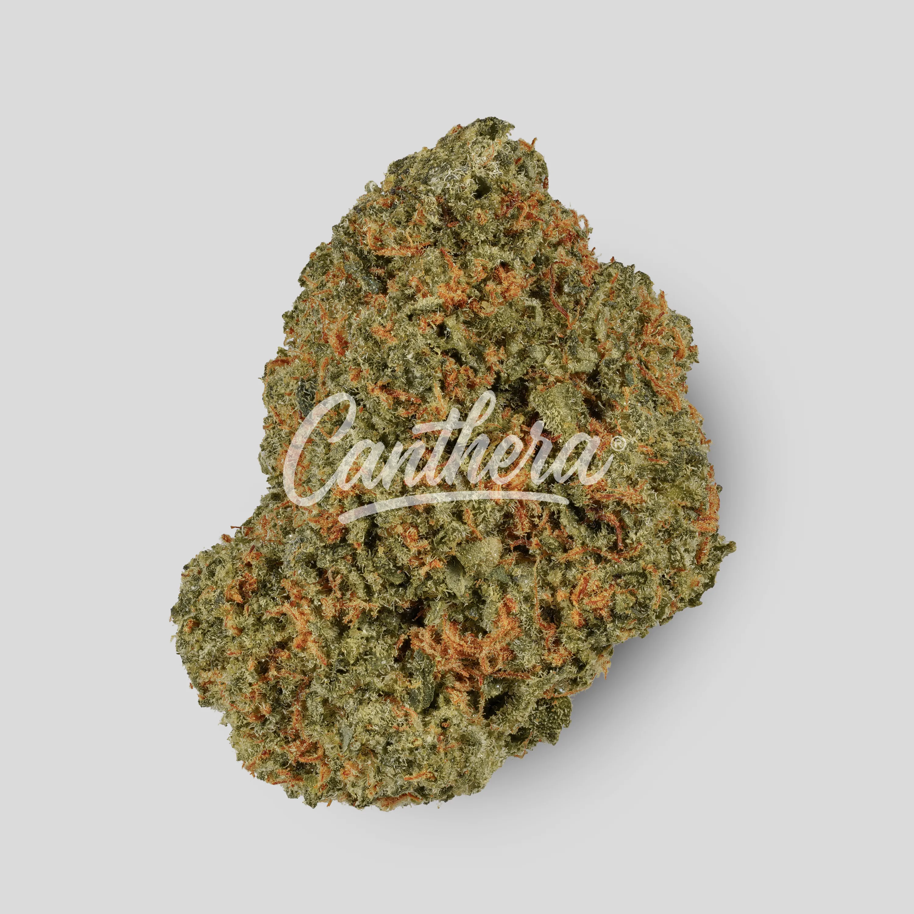 NICE 32/1 GBA - Guava Barz NICE 32/1 GBA - Guava Barz