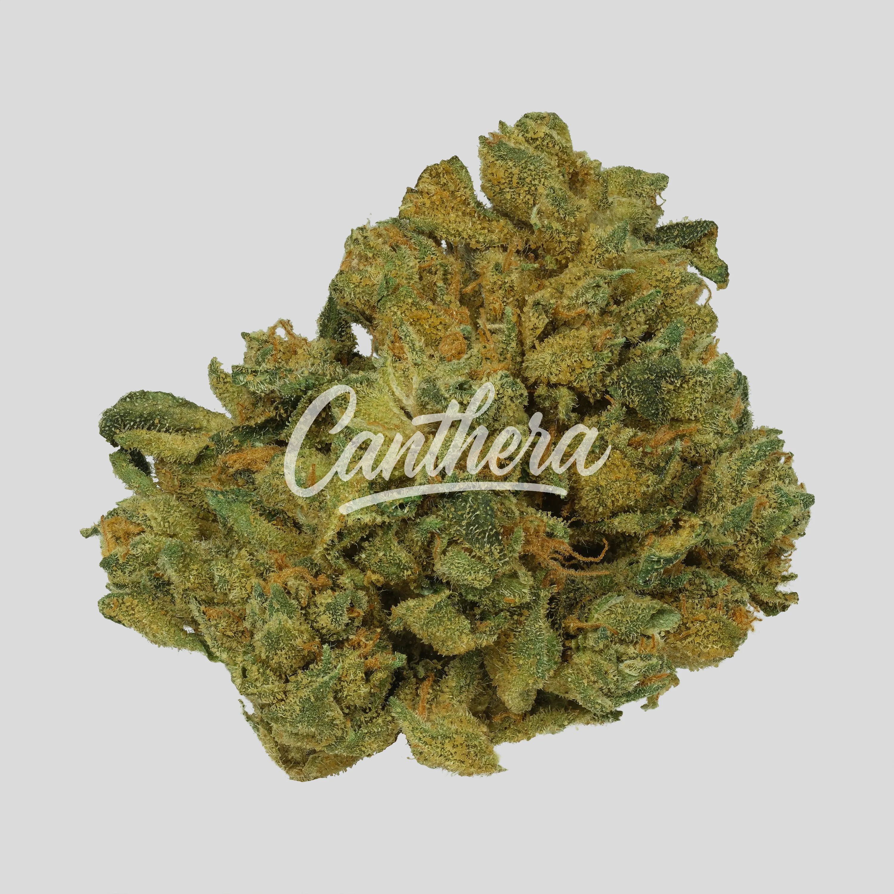 Demecan Core Lume 26:01 - Lemon Z Demecan Core Lume 26:01 - Lemon Z