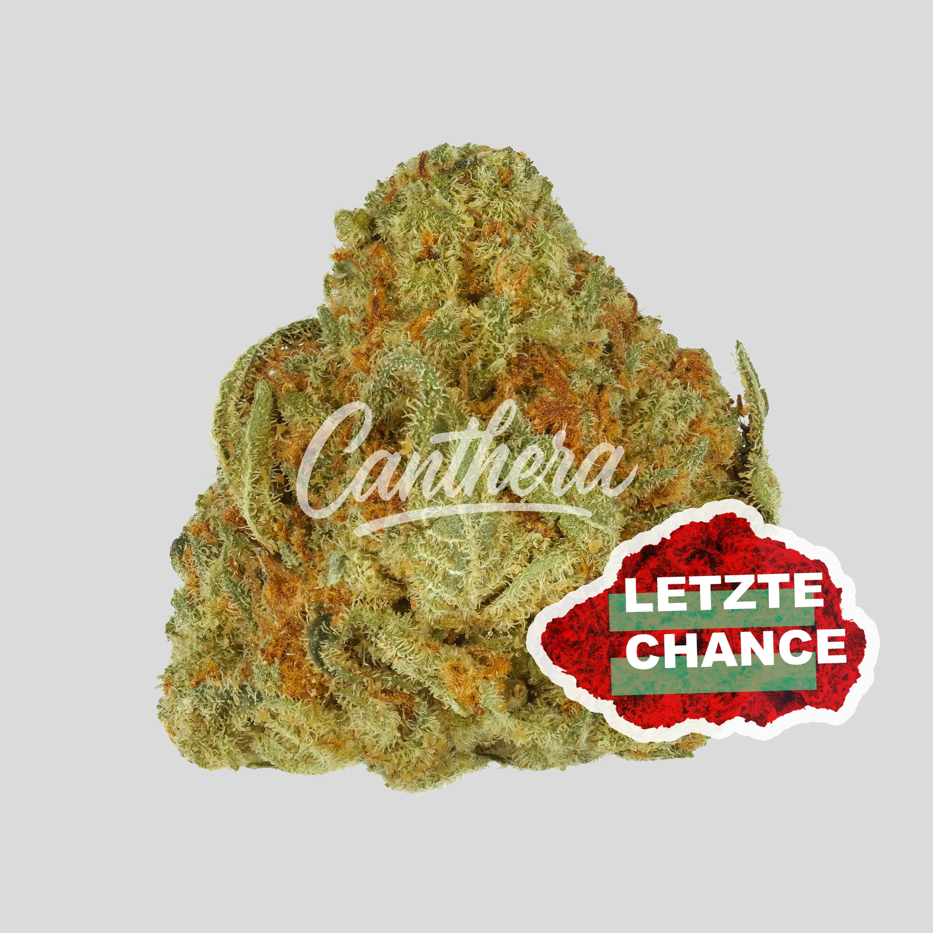 Huala 25/1 UK WTR - Waffle Truffle