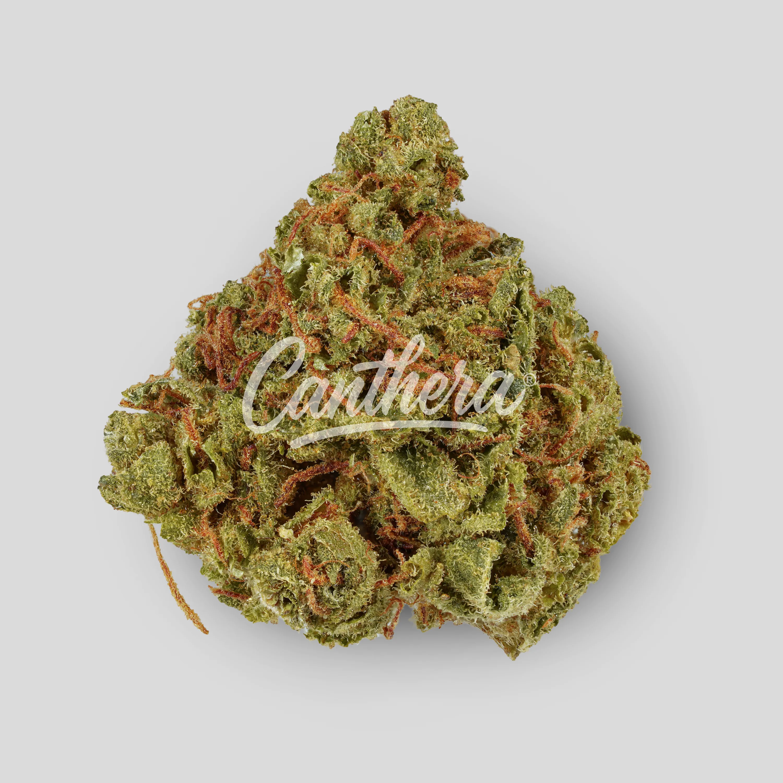 IMC Token CK THC25 - Creamy Kee's