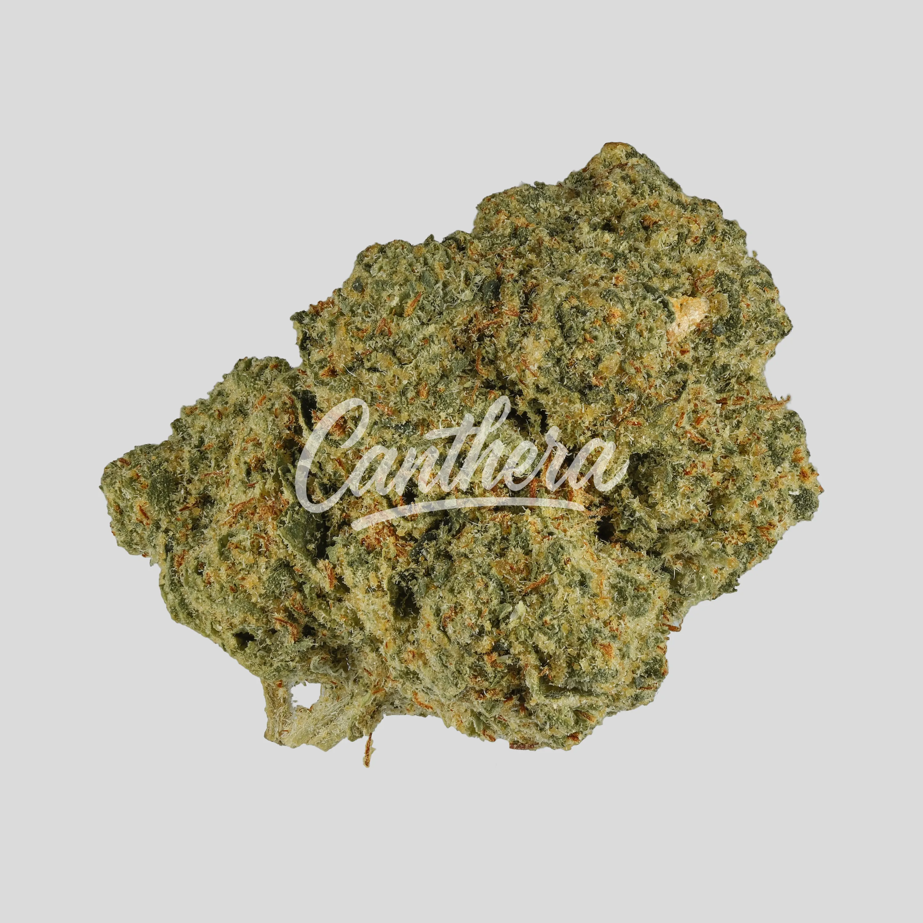Slouu 25/1 PS3 CA OGK - OG Kush Slouu 25/1 PS3 CA OGK - OG Kush