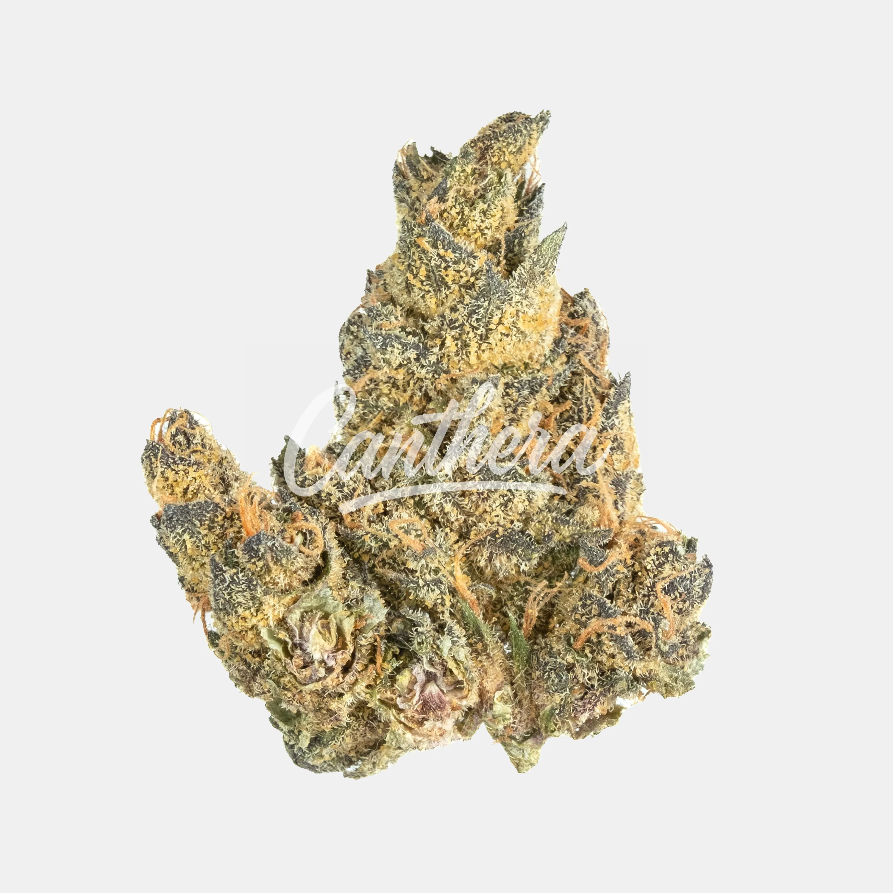 420 Natural 19/1 CA TRP - Tropicana Cookies 420 Natural 19/1 CA TRP - Tropicana Cookies