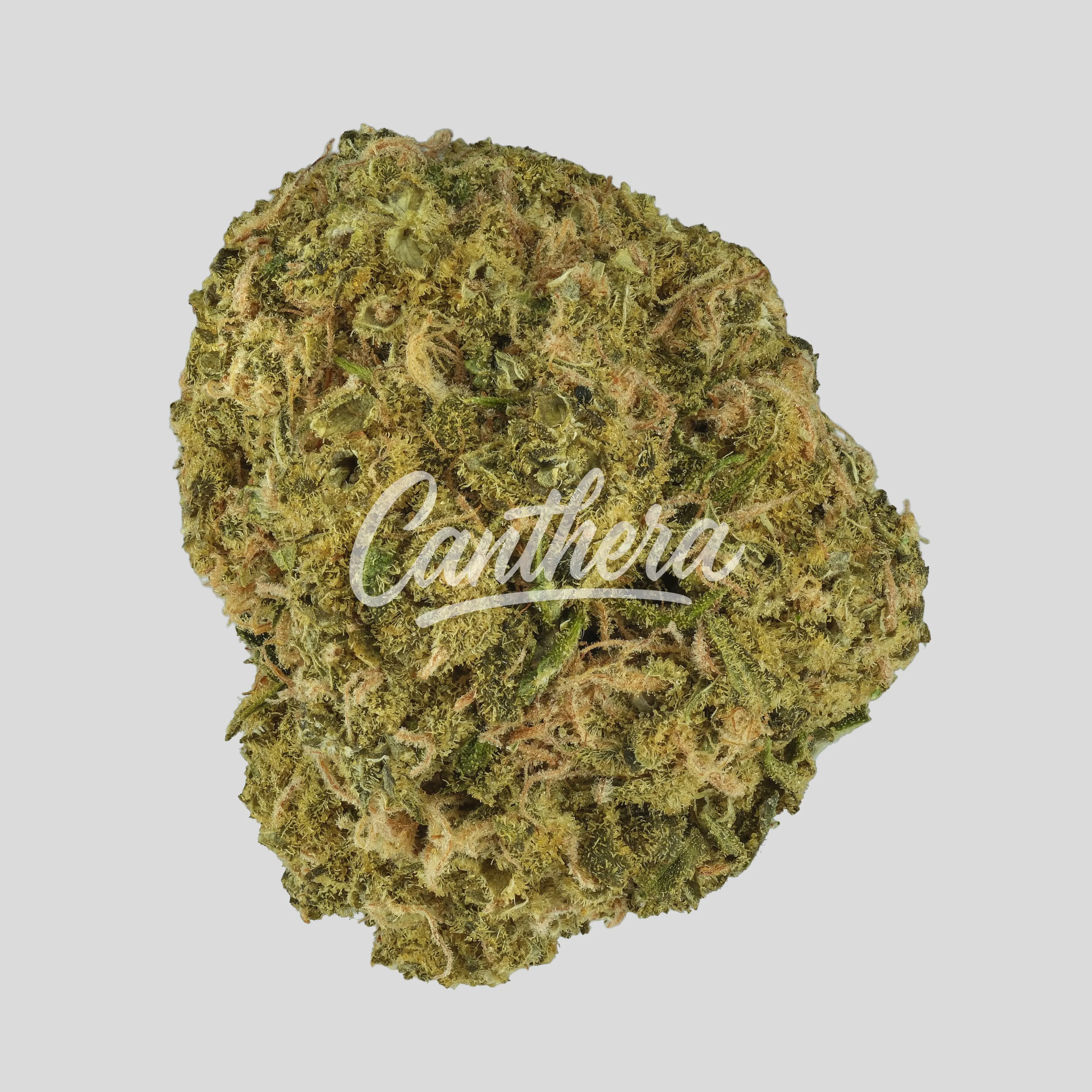 Luana 24/1 Sundae - Sour Sundae