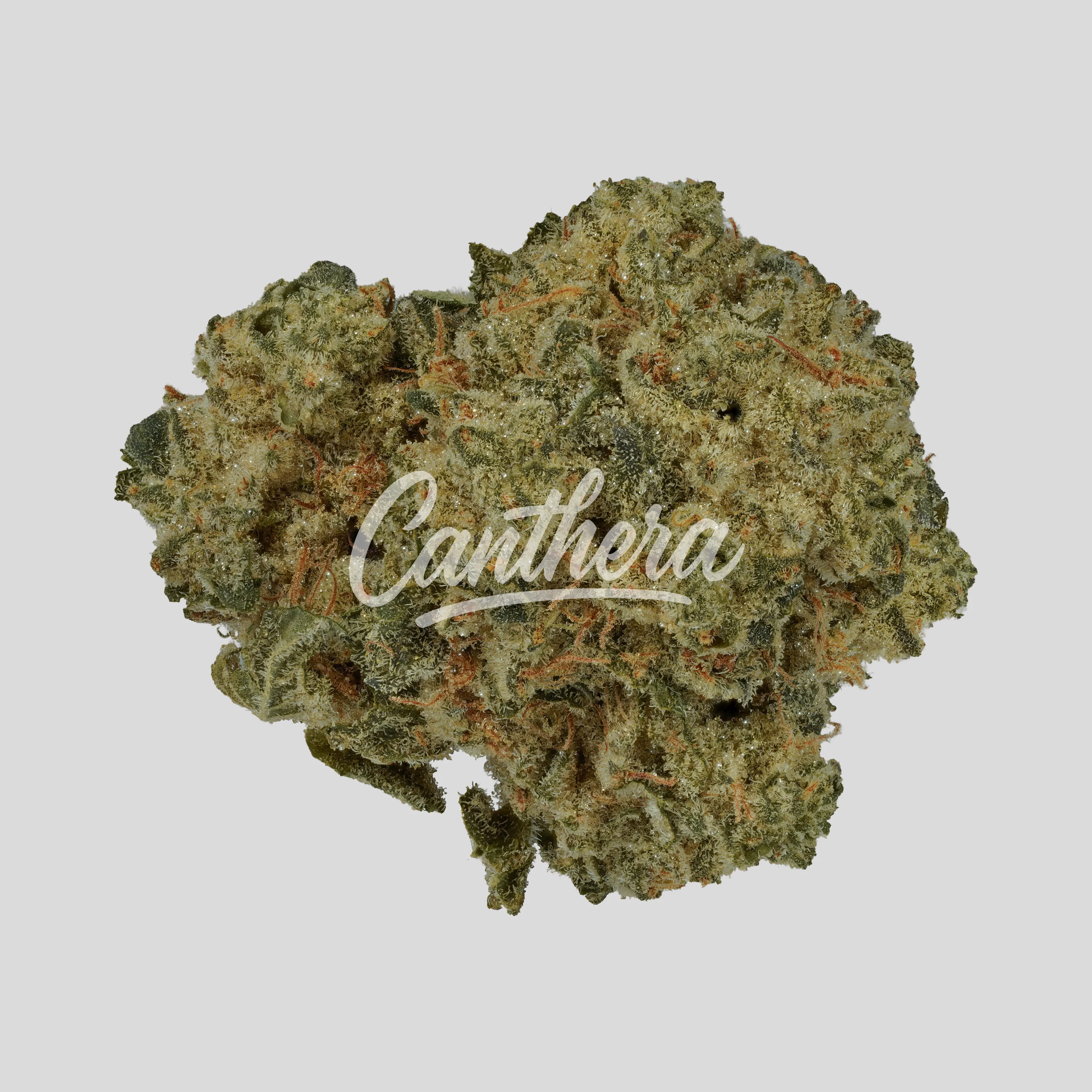 Demecan PS Epic Drop 30/1 - Animal Cookies x SinMints Cookies Demecan PS Epic Drop 30/1 - Animal Cookies x SinMints Cookies