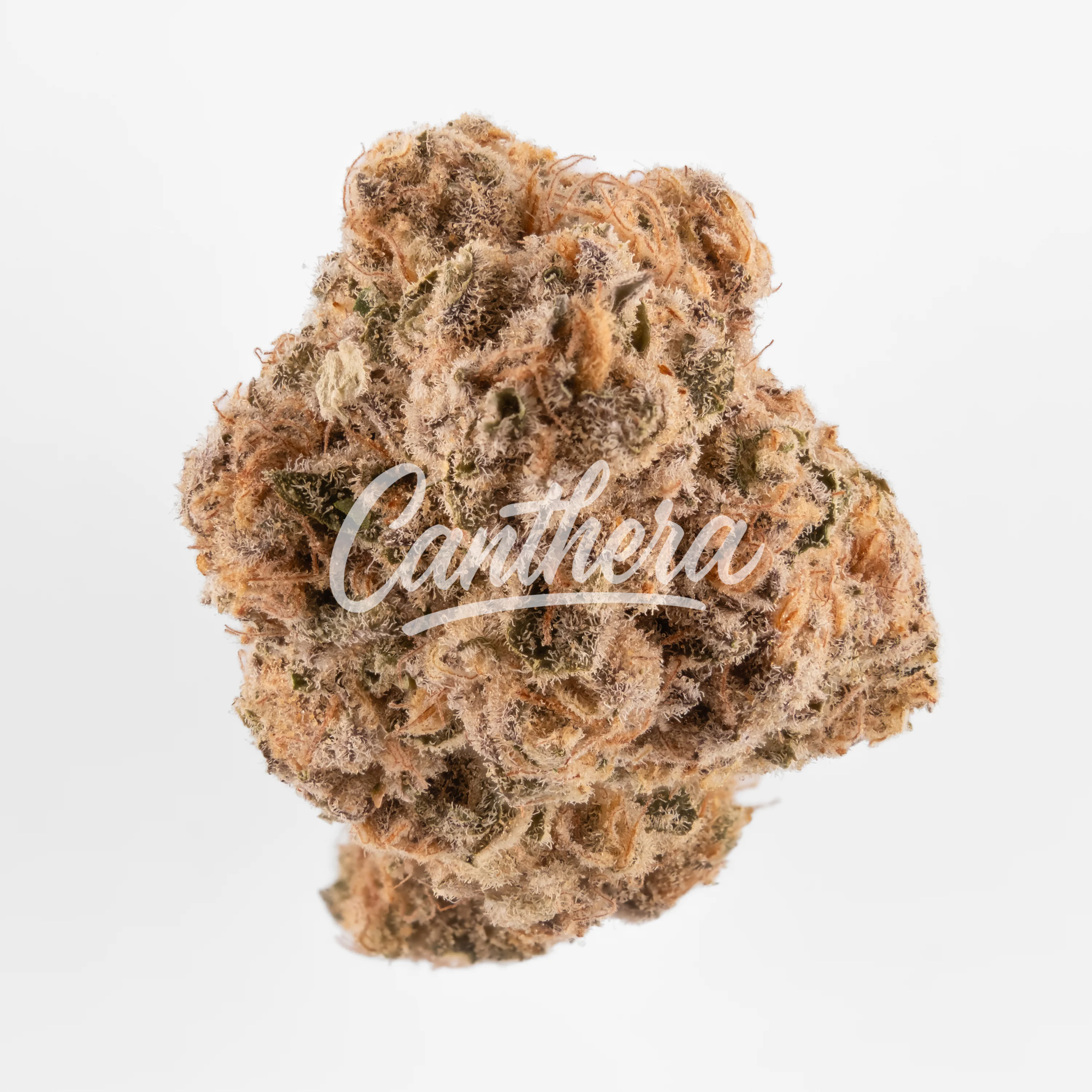 Mediprocan 30/1 BCP Black Cherry Punch