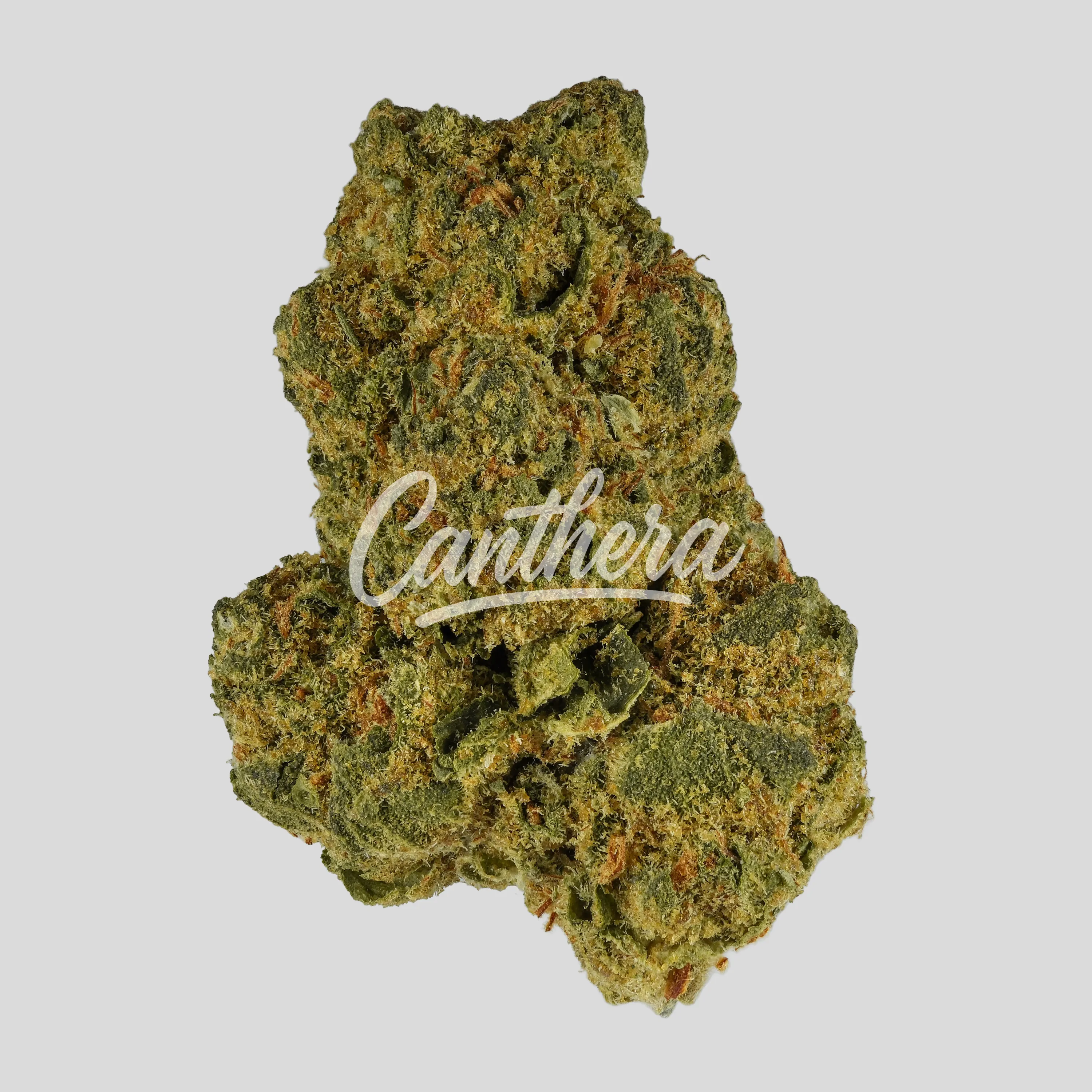 MGF AandB 25/1 - Grapple Pie