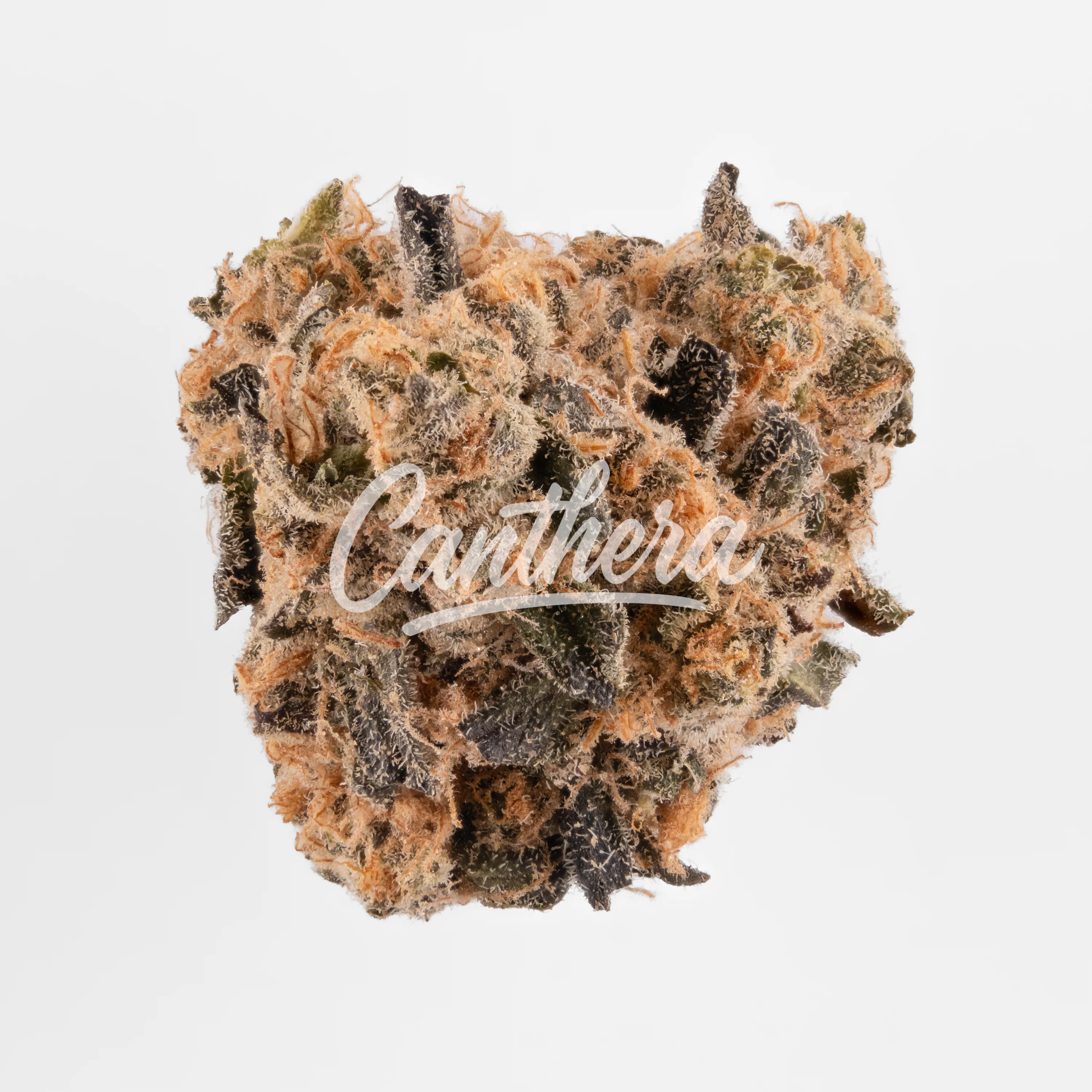 Pretty Smalls ICC 21/1 Ice Cream Cake Pretty Smalls ICC 21/1 Ice Cream Cake