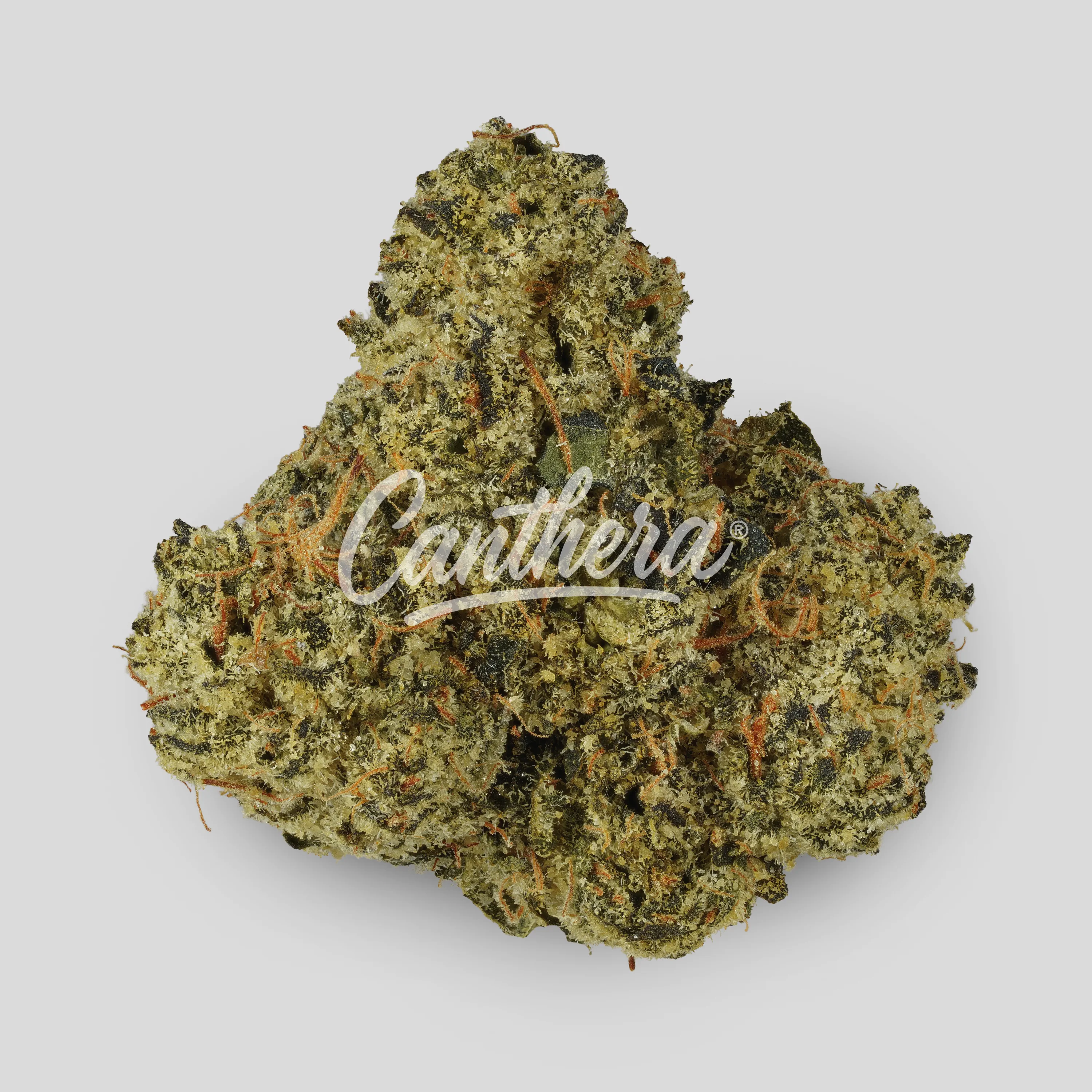 Bathera 33/1 LCG - Lemon Cherry Gelato