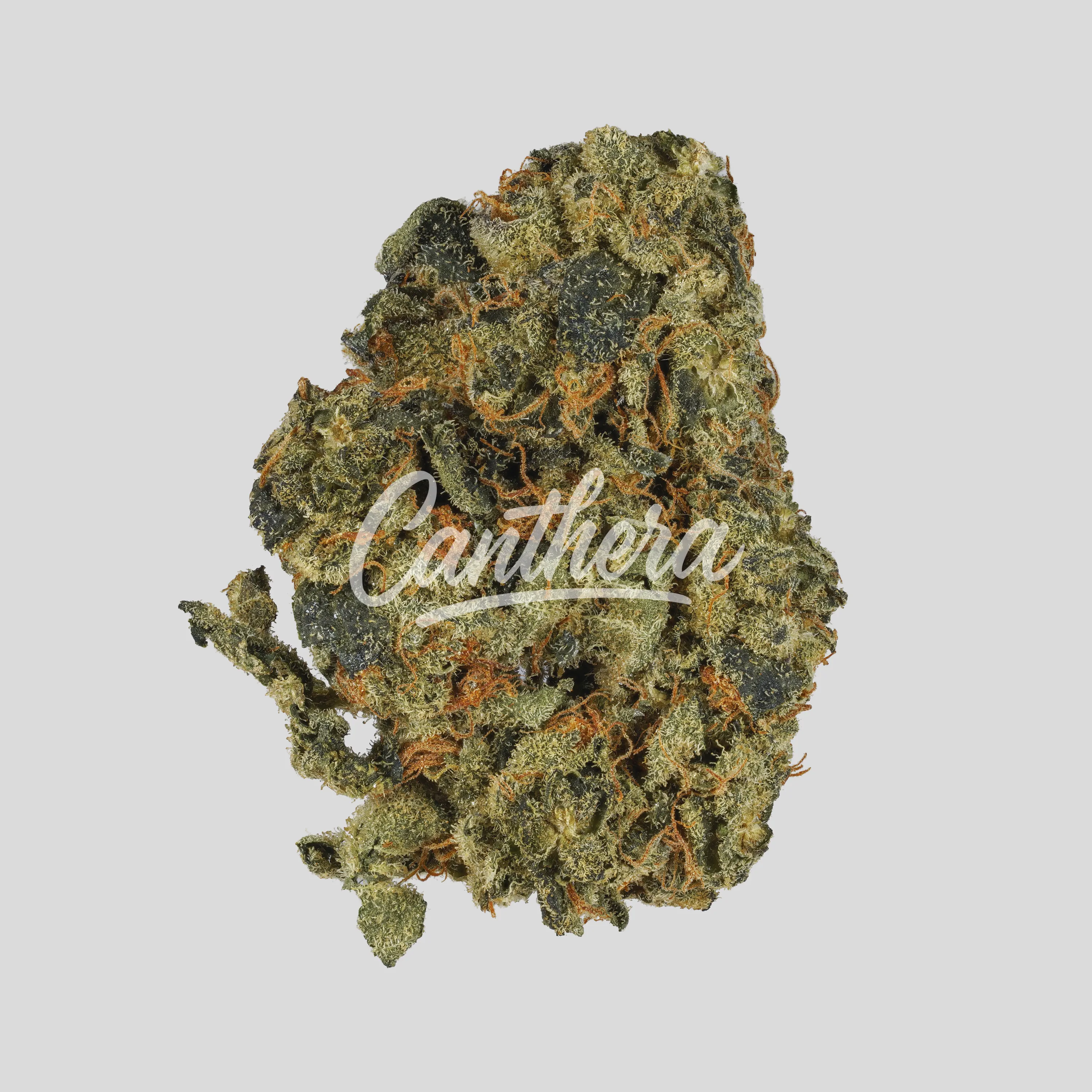 AphriaRX THC25 SNS - Sunset Sherbet AphriaRX THC25 SNS - Sunset Sherbet