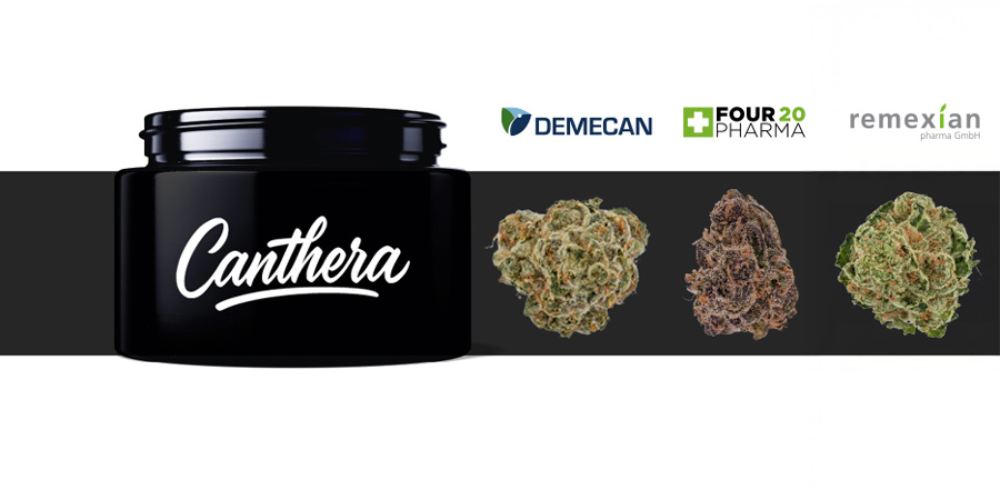 Canthera - Cannabis-Therapie direkt aus der Apotheke Canthera - Cannabis-Therapie direkt aus der Apotheke