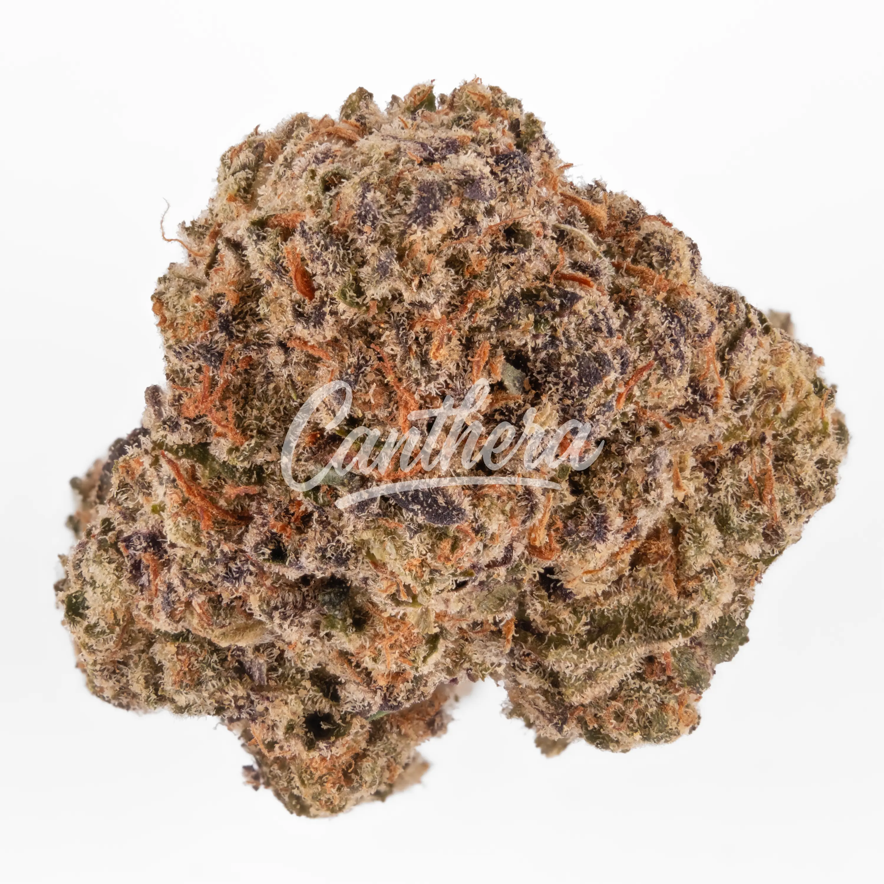 420 Compound 20/1 PT TGY - Tigerz Eye 420 Compound 20/1 PT TGY - Tigerz Eye