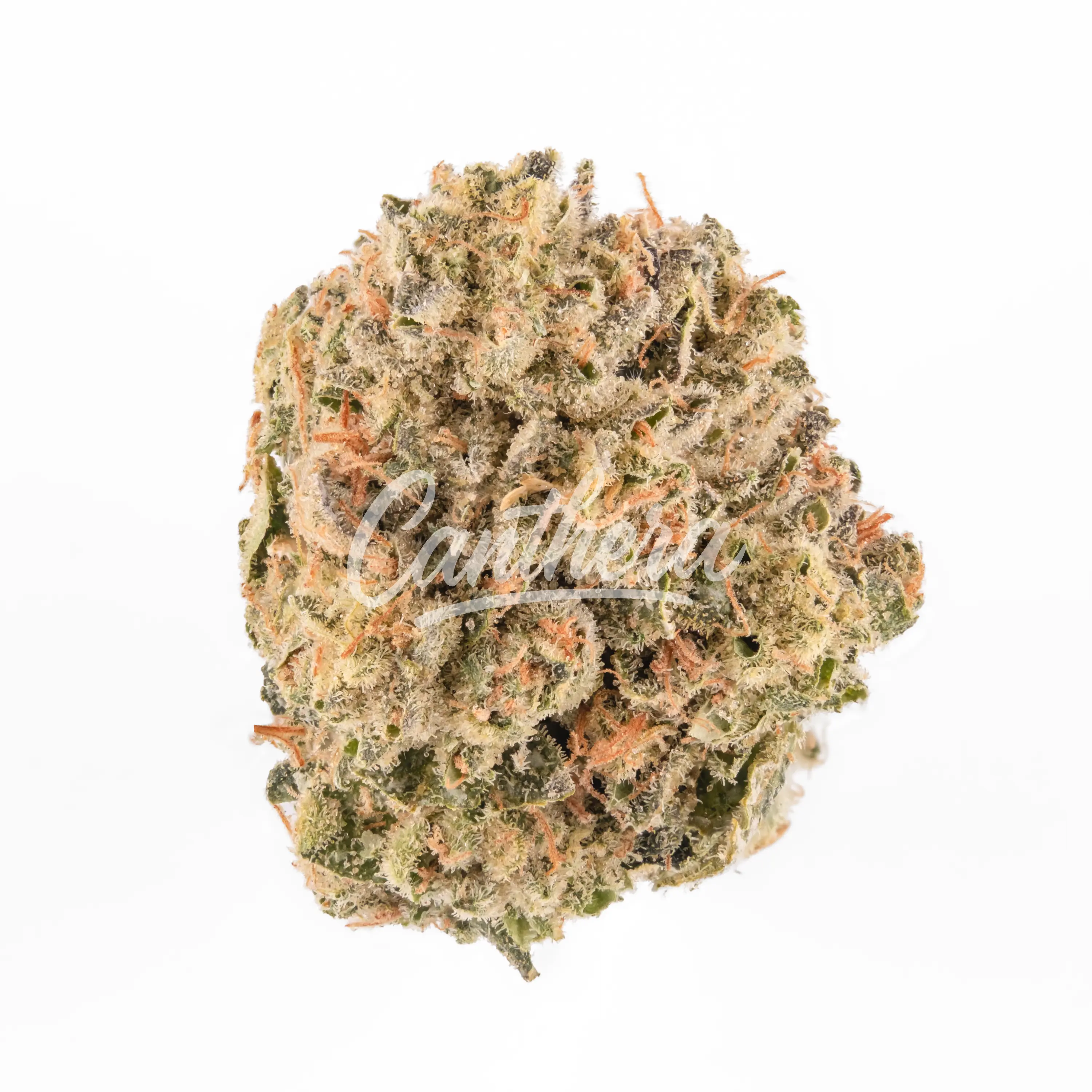 enua 25/1 GTHZ - Ghost Train Haze