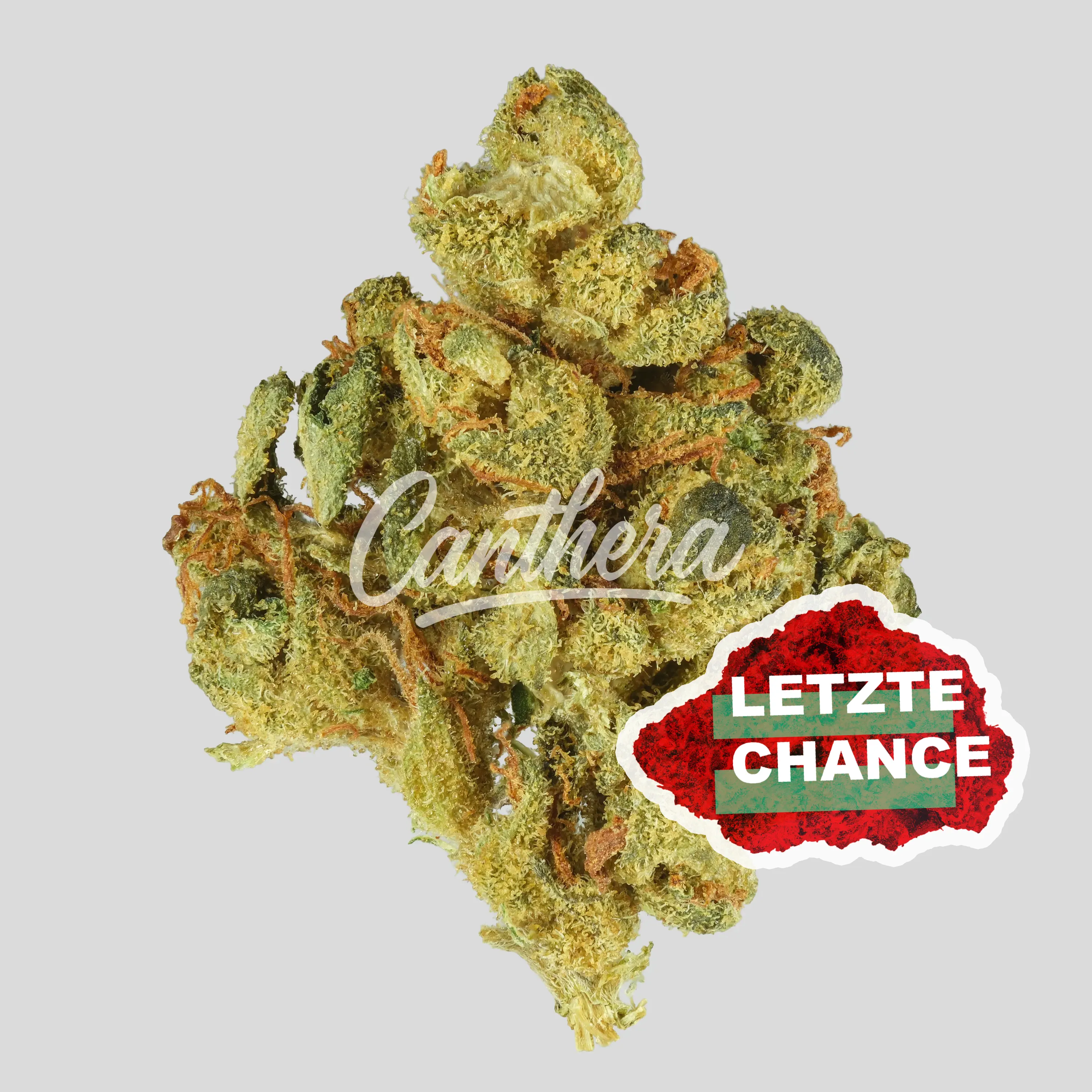 Cannamedical CM 24/1 - OG Kush Cannamedical CM 24/1 - OG Kush