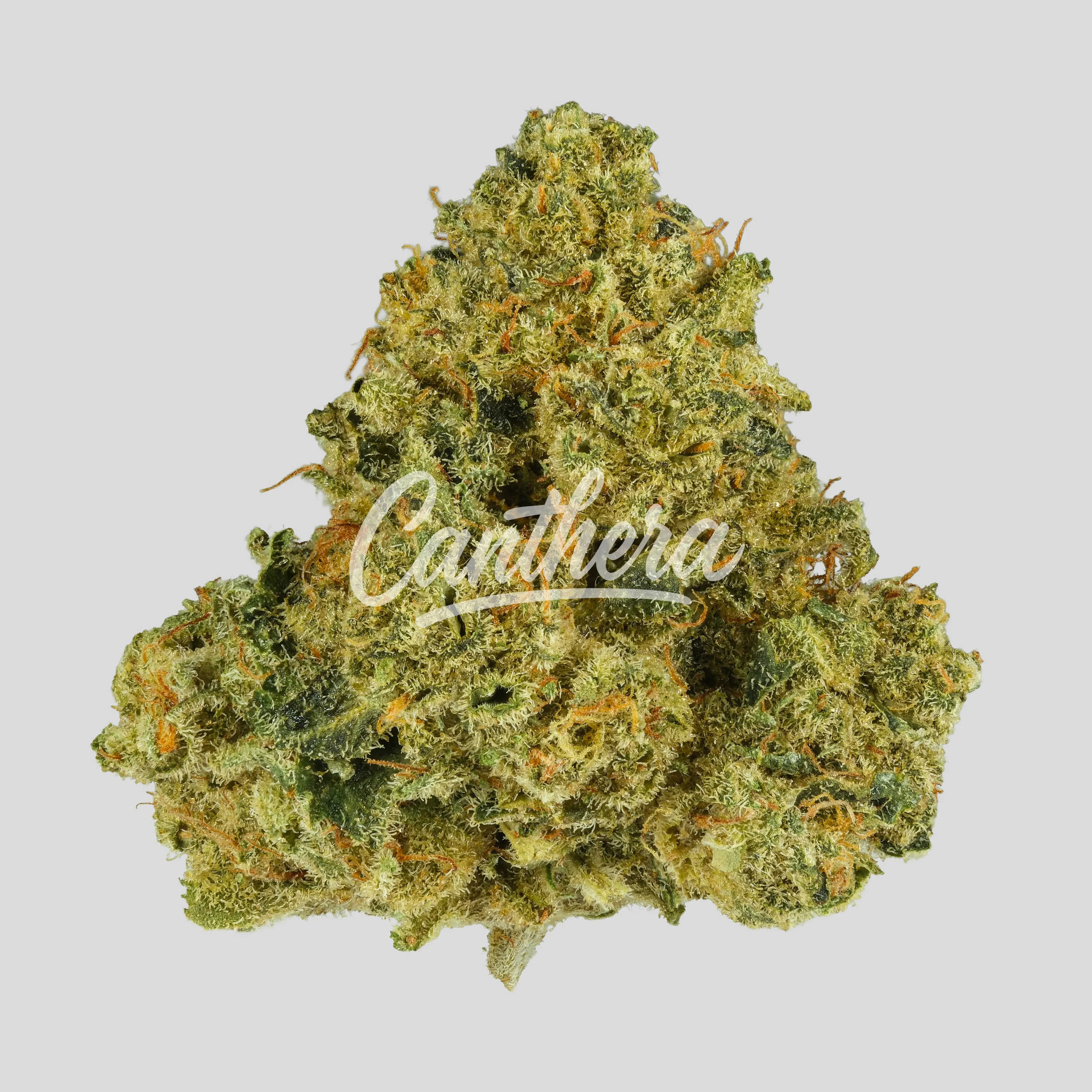 Demecan CRAFT D-Jungle 31:01 - Purple Punch X Jungle Cake Demecan CRAFT D-Jungle 31:01 - Purple Punch X Jungle Cake