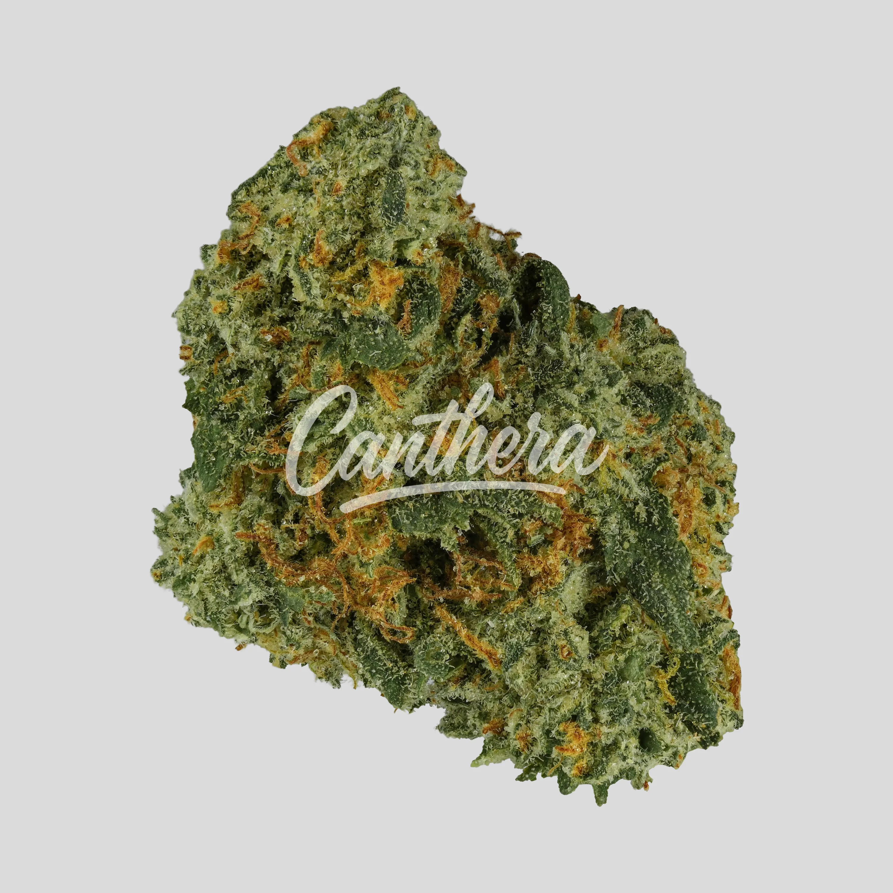 Cannamedical Hybrid Ultimate - Afghan Bubba Kush Cannamedical Hybrid Ultimate - Afghan Bubba Kush