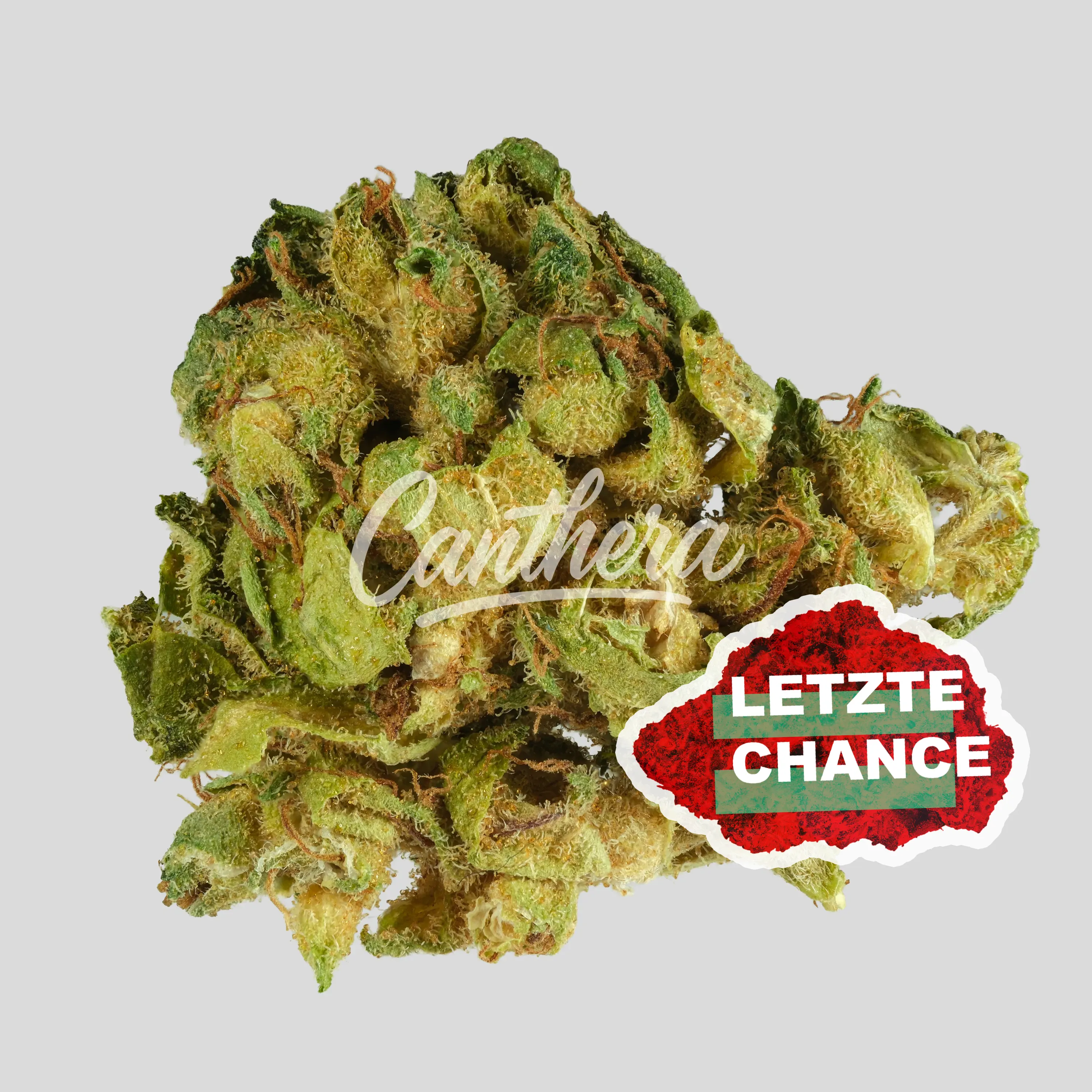 Tilray THC15 Spotlight Porto - Black Tuna