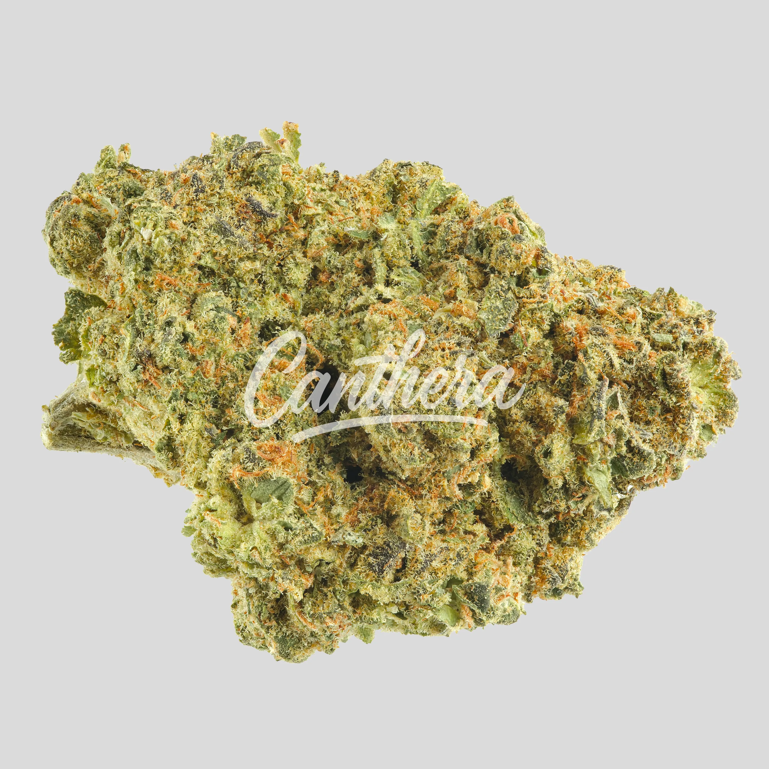 Remexian 21/1 CHR - Blunicorn BCO