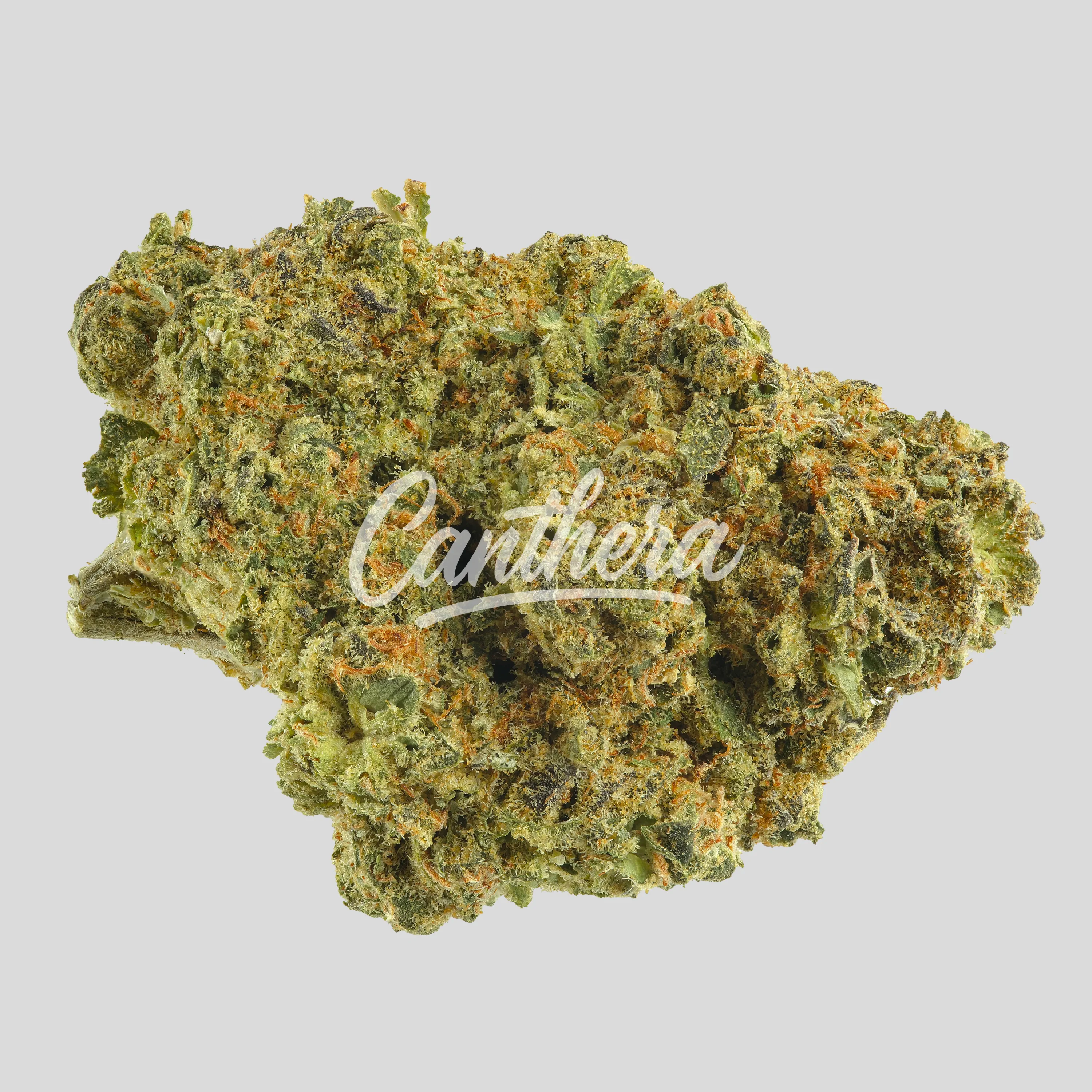 Remexian 21/1 CHR - Blunicorn BCO Remexian 21/1 CHR - Blunicorn BCO