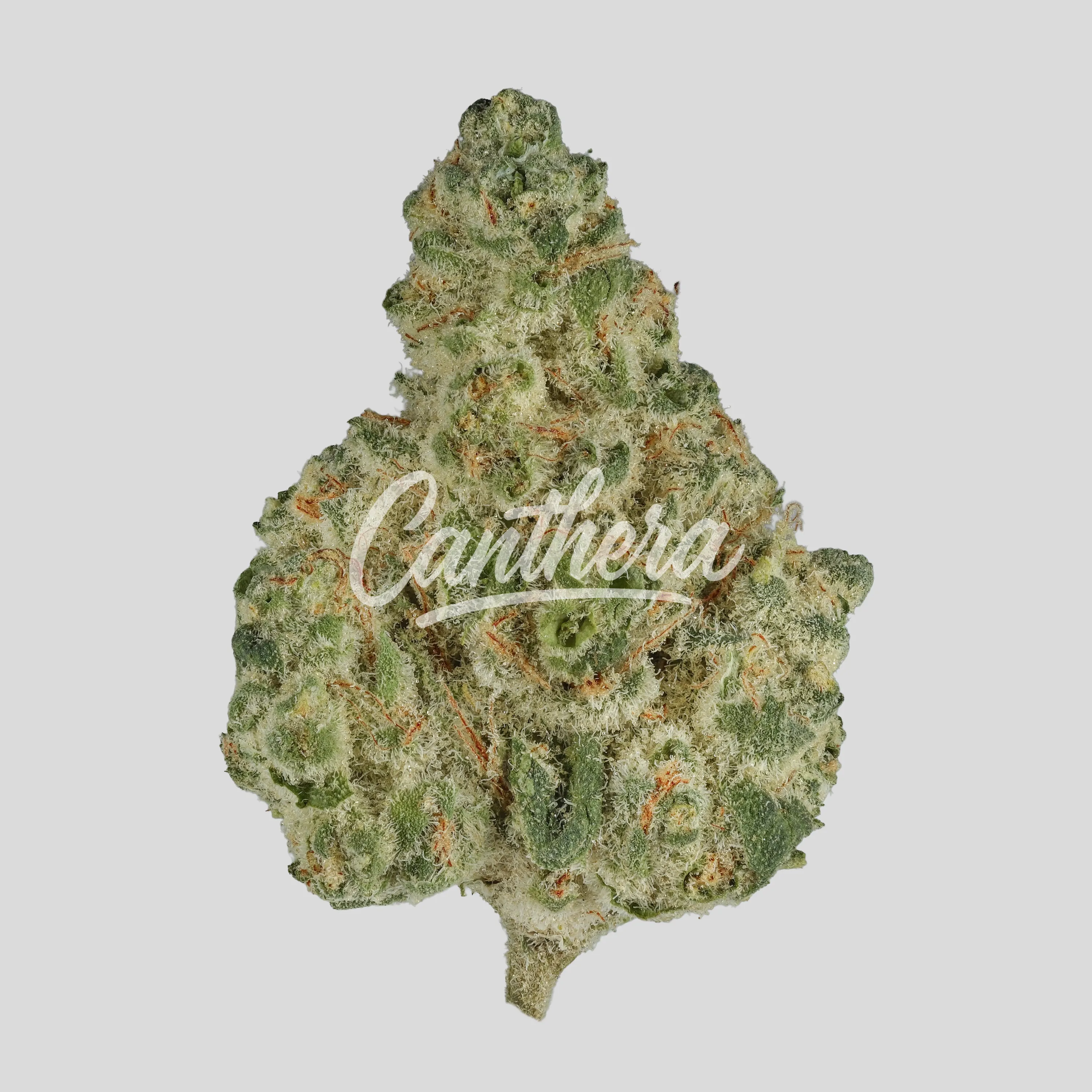 enua 30/1 PS3 JFG CA - Jet Fuel Gelato enua 30/1 PS3 JFG CA - Jet Fuel Gelato