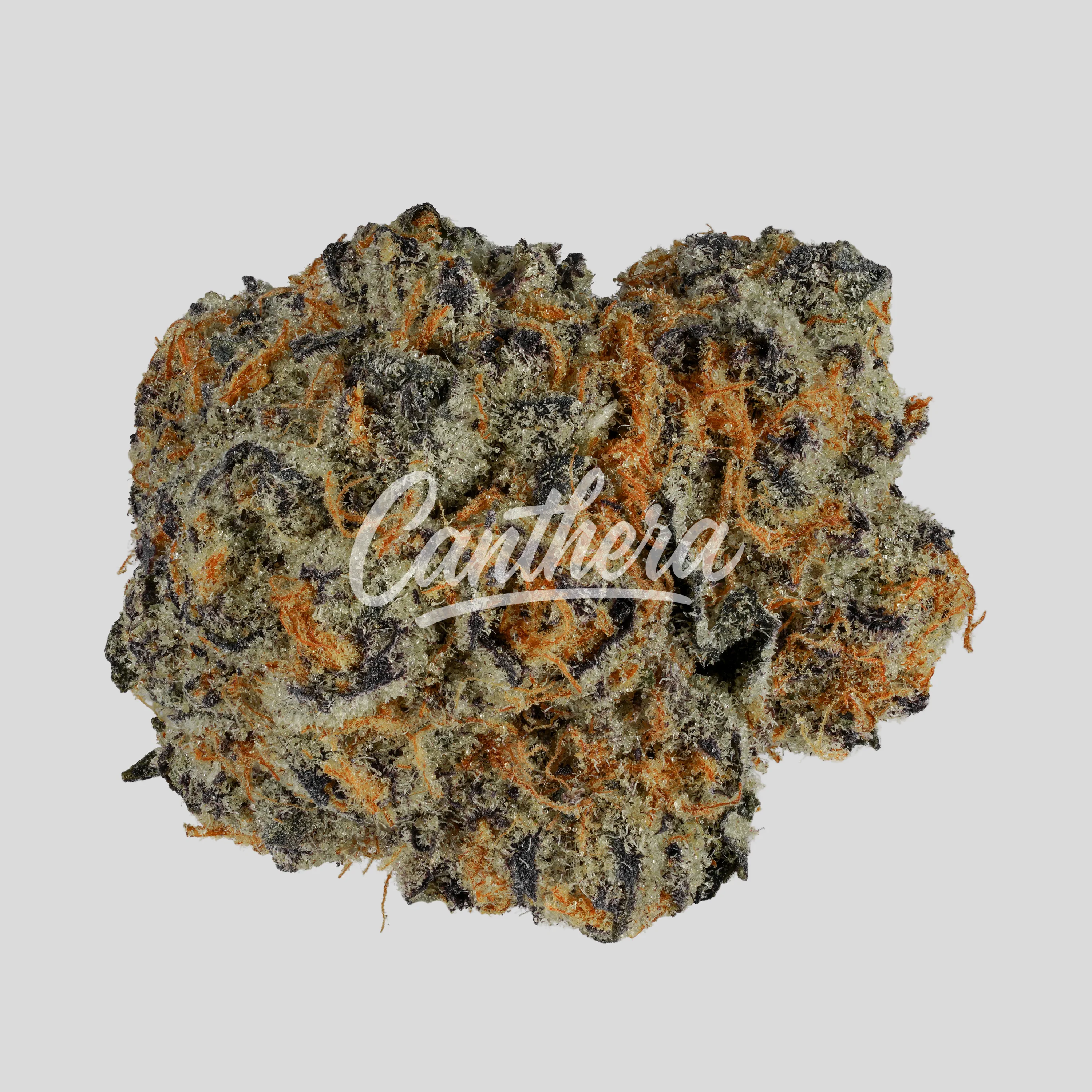Avaay Signature 23/1 - Blueberry Yum Yum Avaay Signature 23/1 - Blueberry Yum Yum