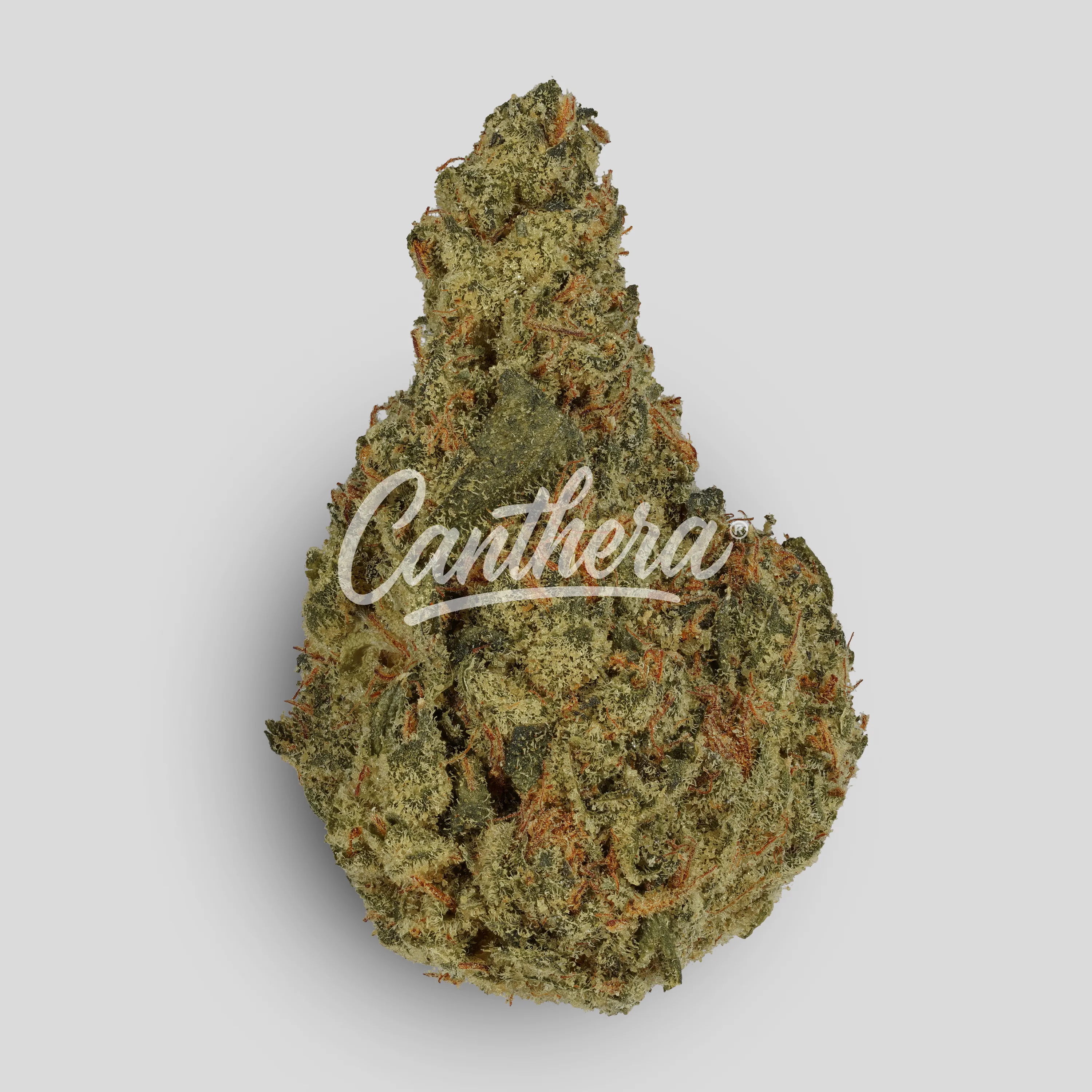 Kush Collective 30/1 CBH - Cuban Haze Kush Collective 30/1 CBH - Cuban Haze