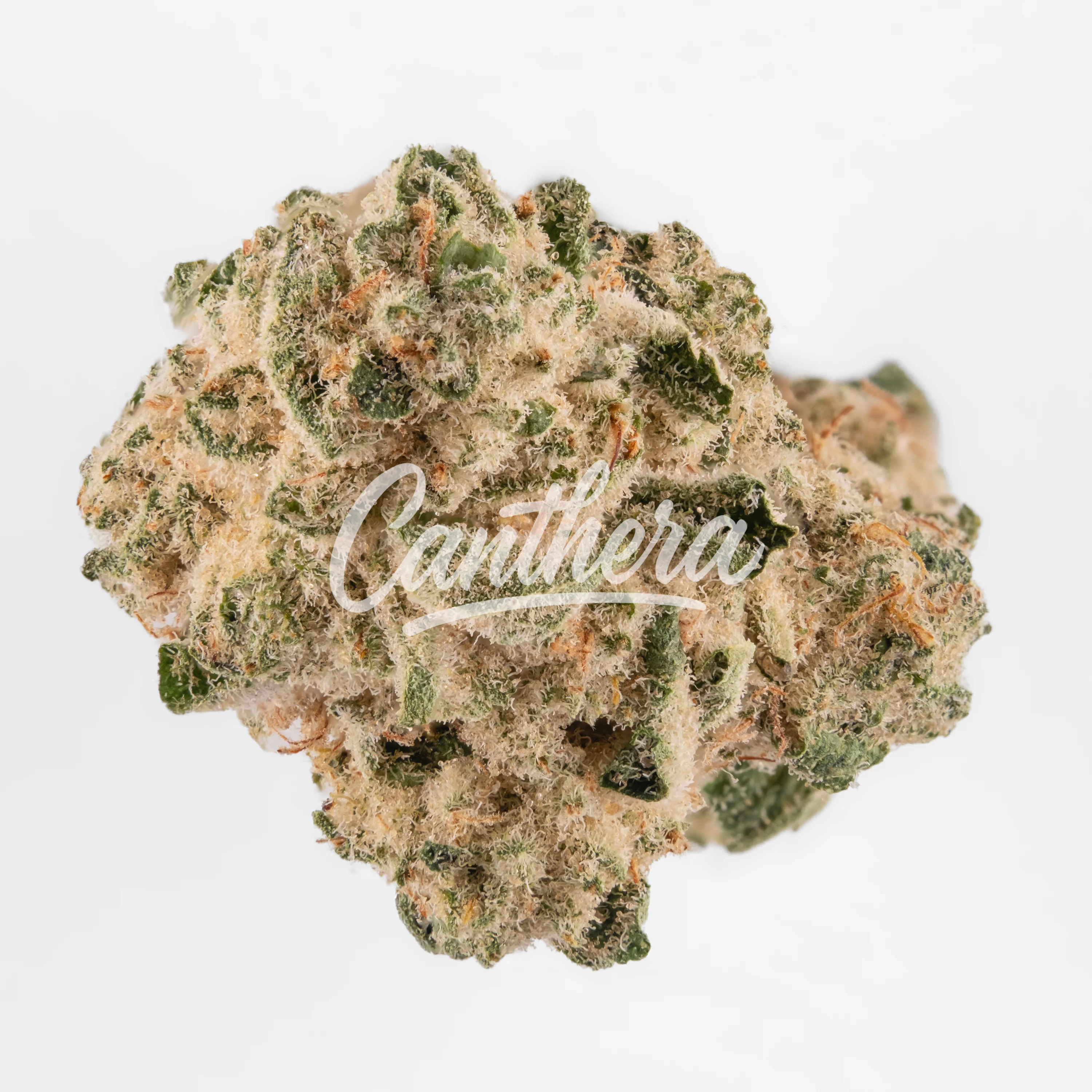 Demecan Serenova 31/1 CJ Cap Junky