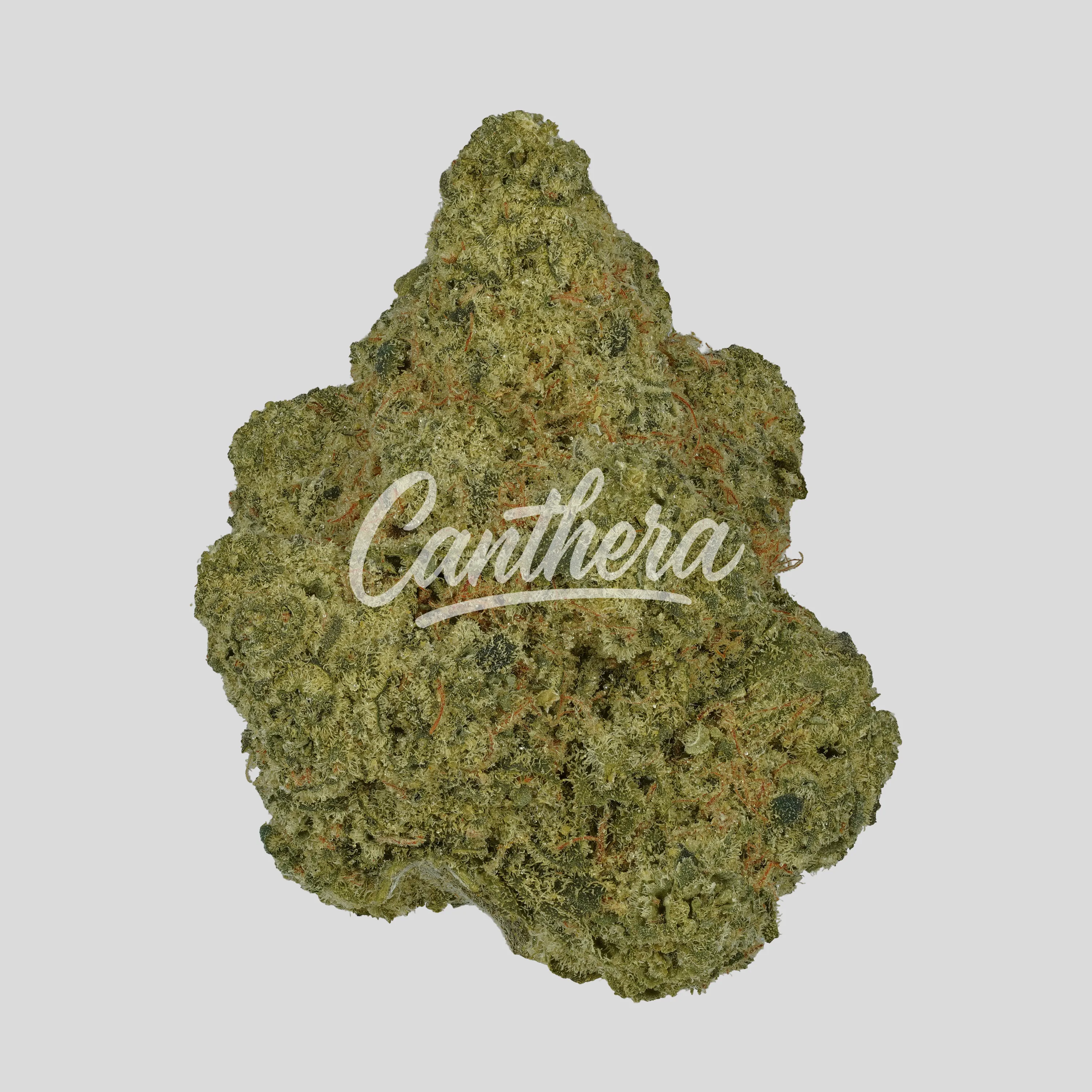 Remexian 30/1 CIV BOB -Booberry Cookies