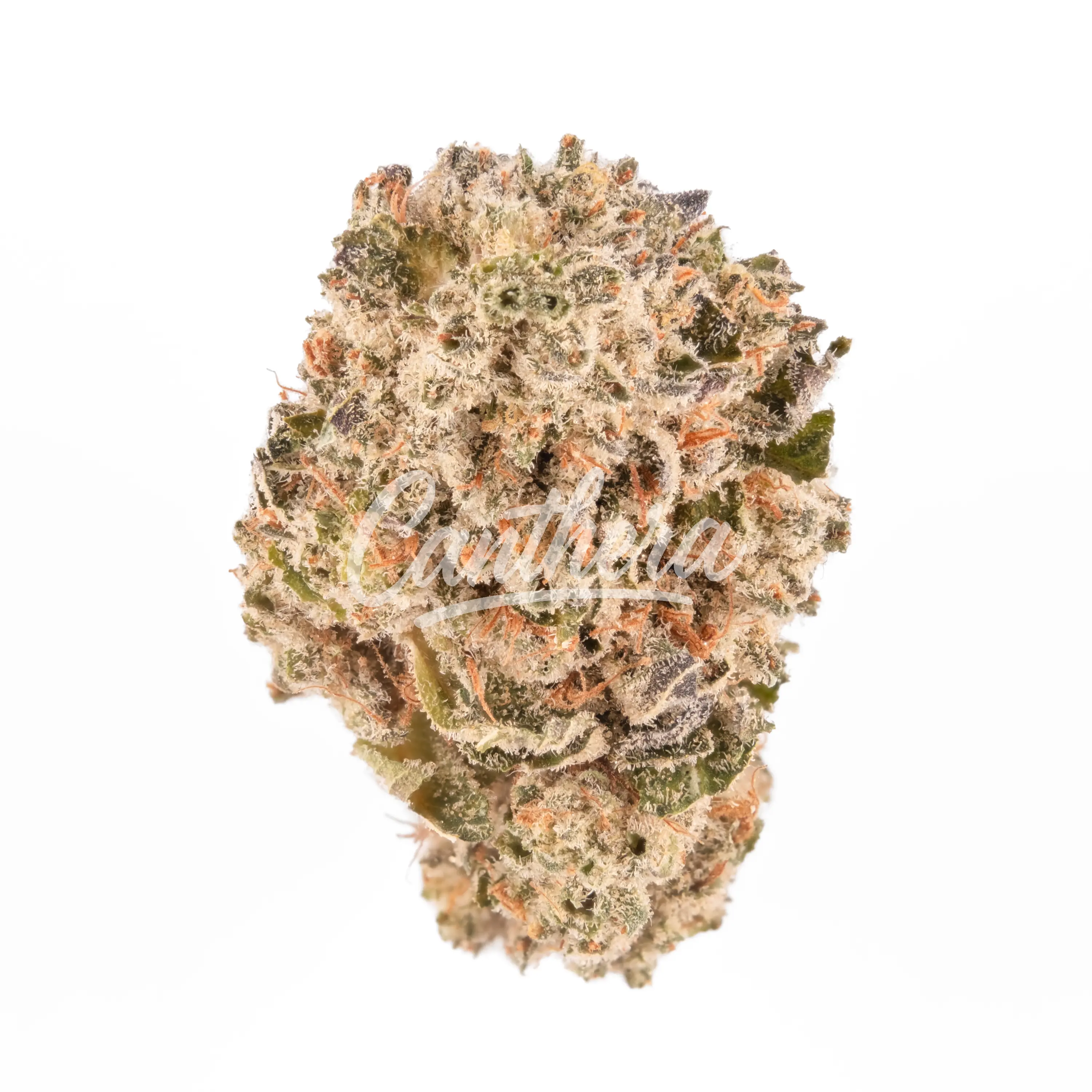 enua 20/1 JFG CA - Jet Fuel Gelato