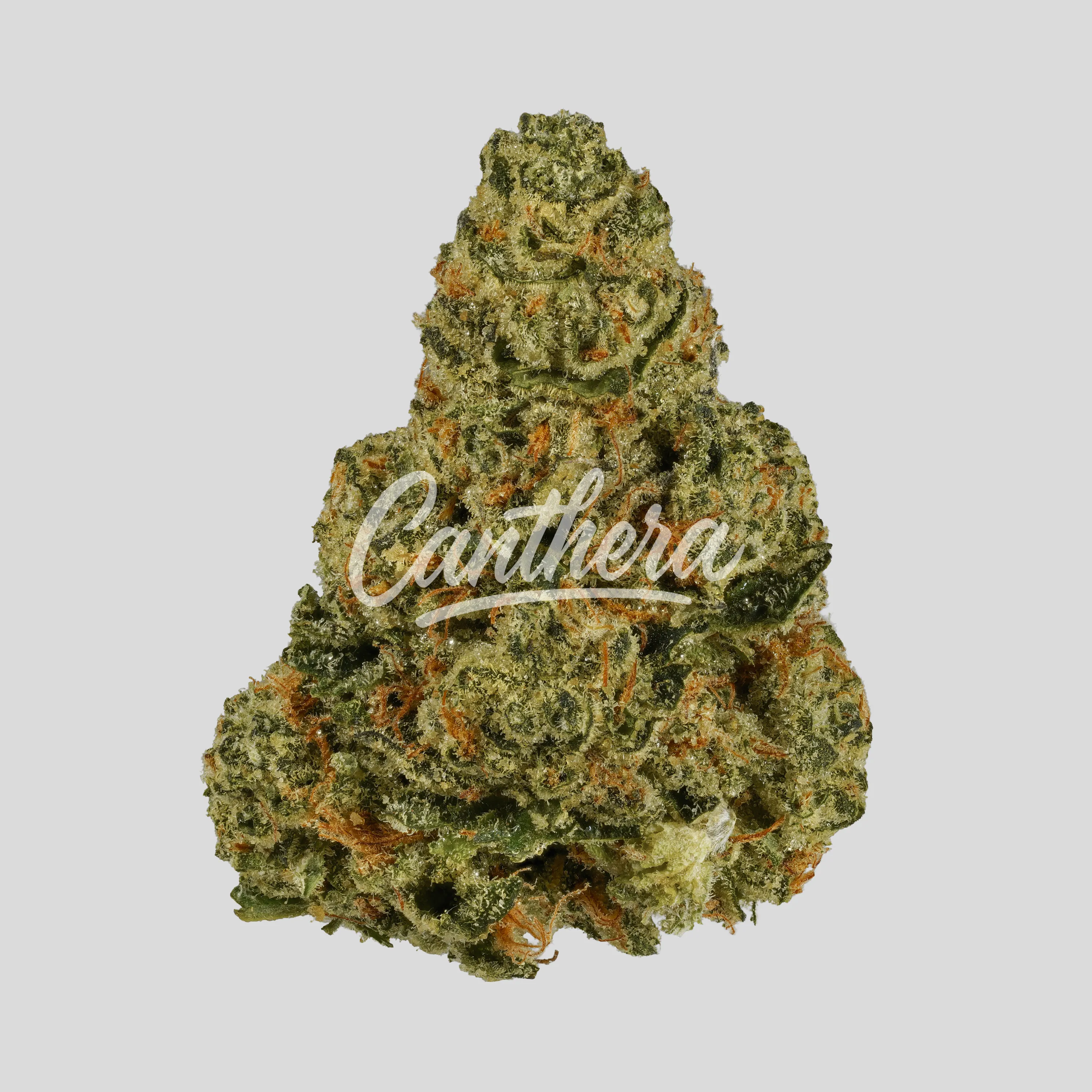 Slouu 33/1 COZ CA - Cookies OZ Slouu 33/1 COZ CA - Cookies OZ