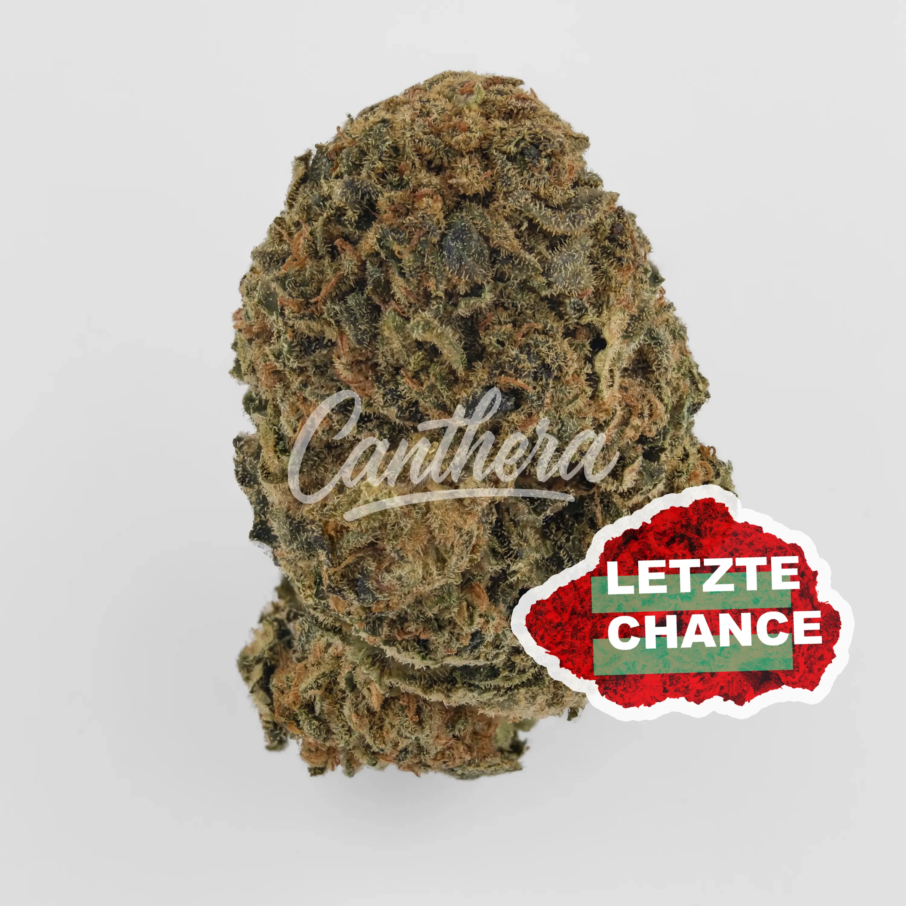 IMC CBD14/C01-GOD BUD