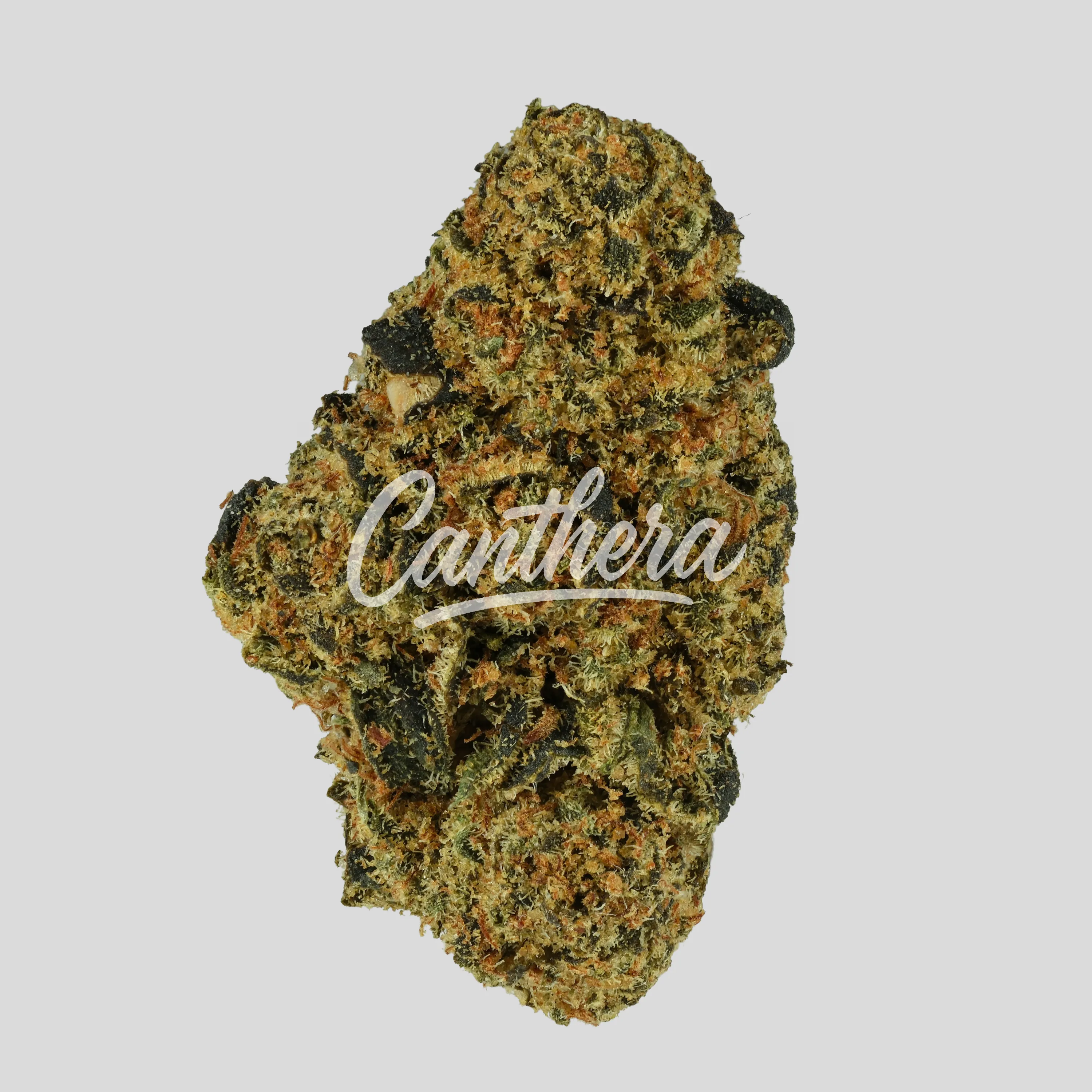 N!CE 27/1 Cannabisblüten CB - Cocoa Bomba