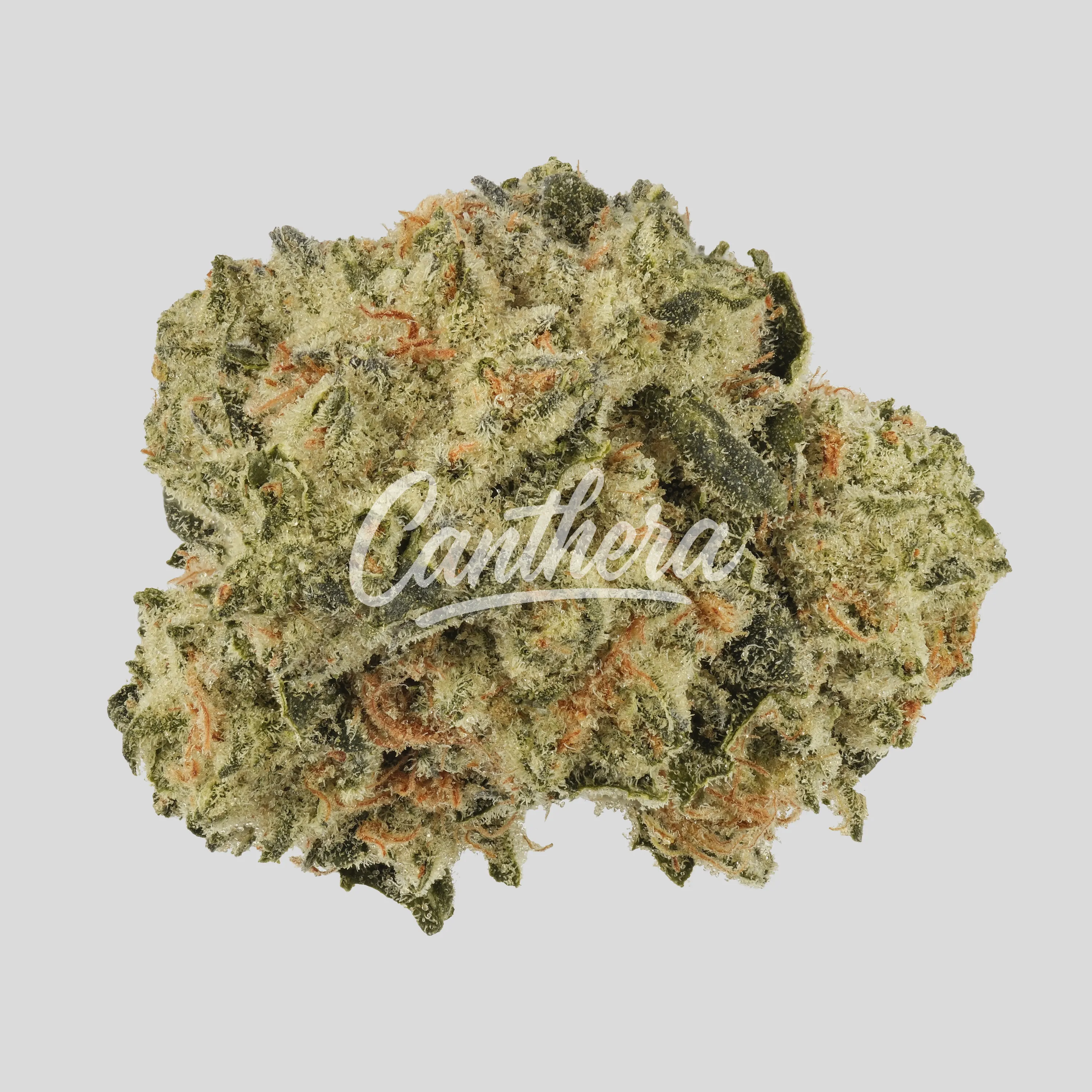 TRUU PS 30:01 - Animal Mints x Bubba Kush TRUU PS 30:01 - Animal Mints x Bubba Kush