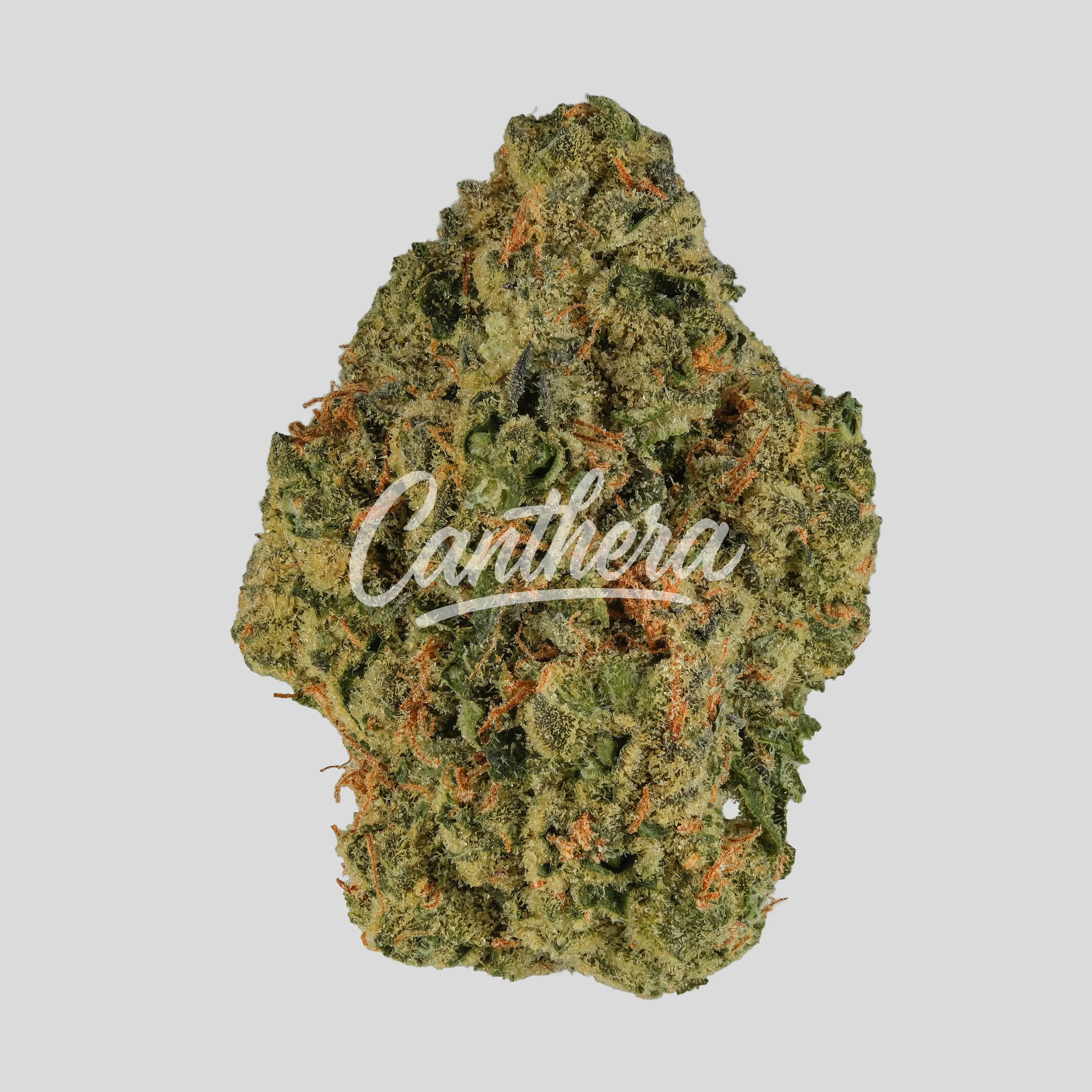 madrecan 27/1 GB9 - Garlic Budder madrecan 27/1 GB9 - Garlic Budder