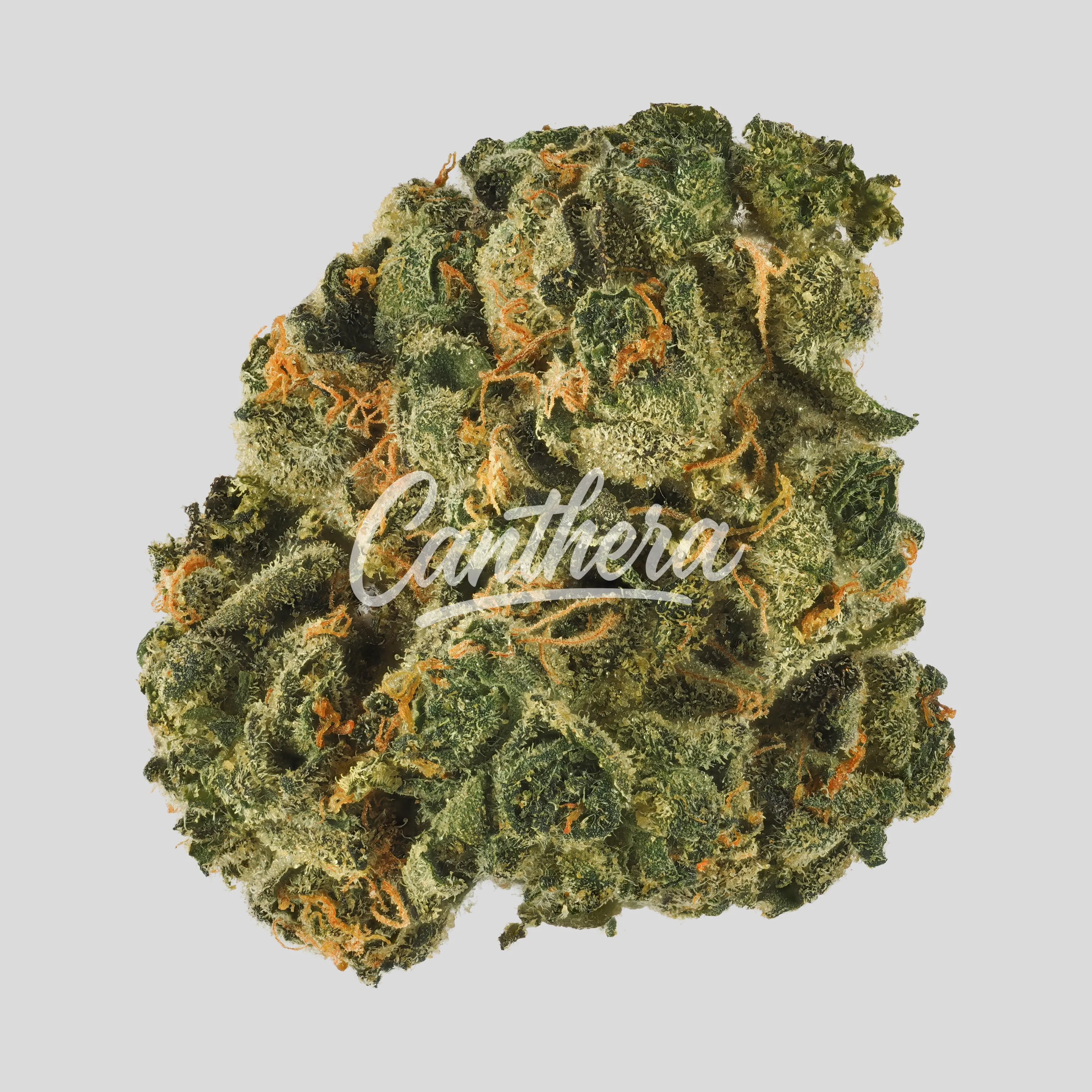 Demecan Core Moonbow 27/1