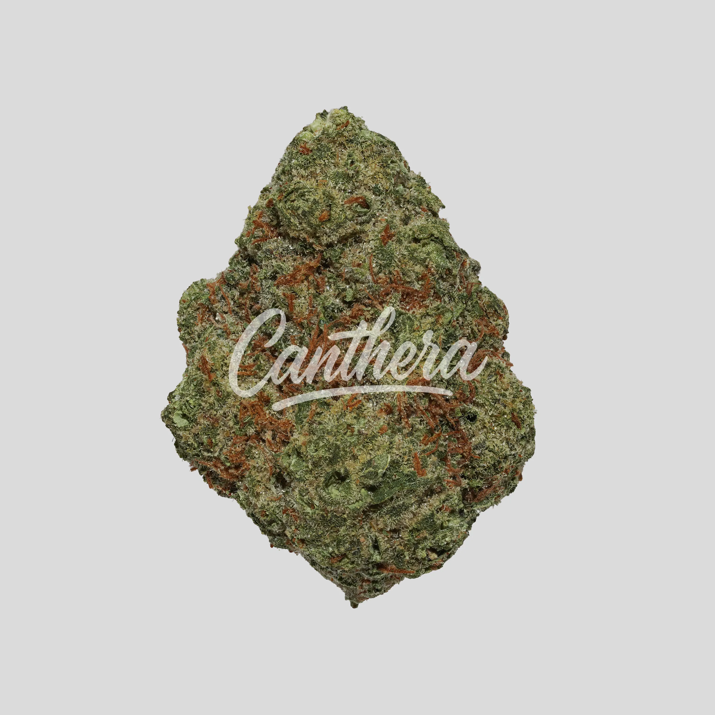 San Raf 27/1 PNK Pink OG Kush