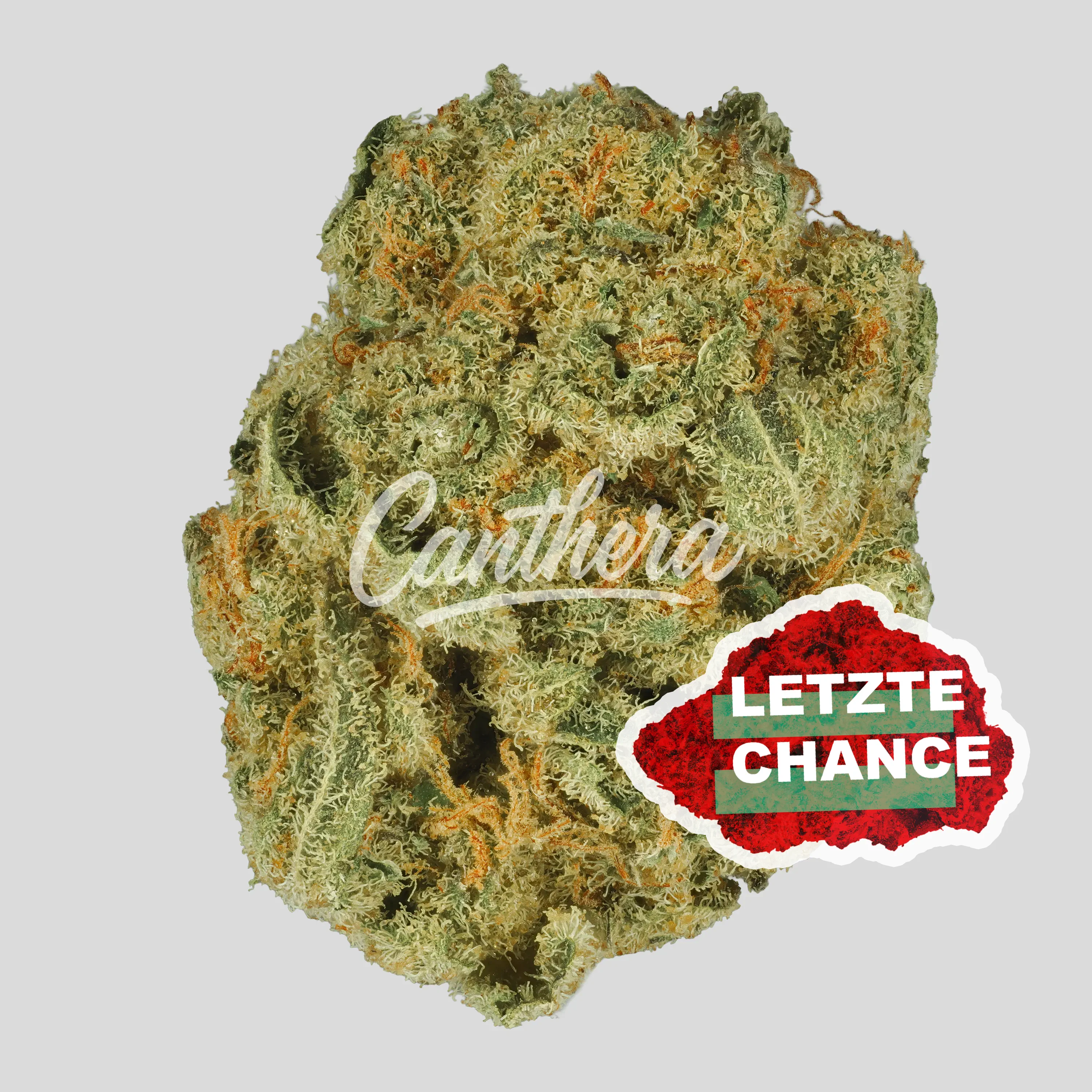 Medicus 21/1 YAR ADI - Astral Drift