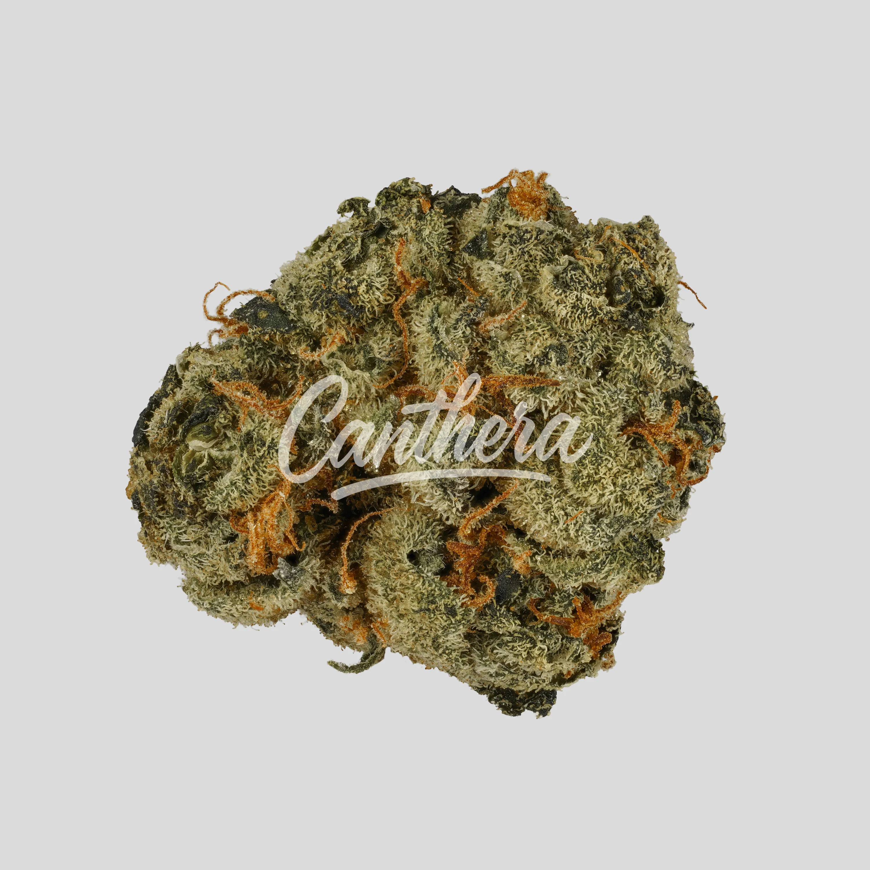 Aphria RX THC28 PPV Platinum Pave #34 - Platinum Pave 34 Aphria RX THC28 PPV Platinum Pave #34 - Platinum Pave 34